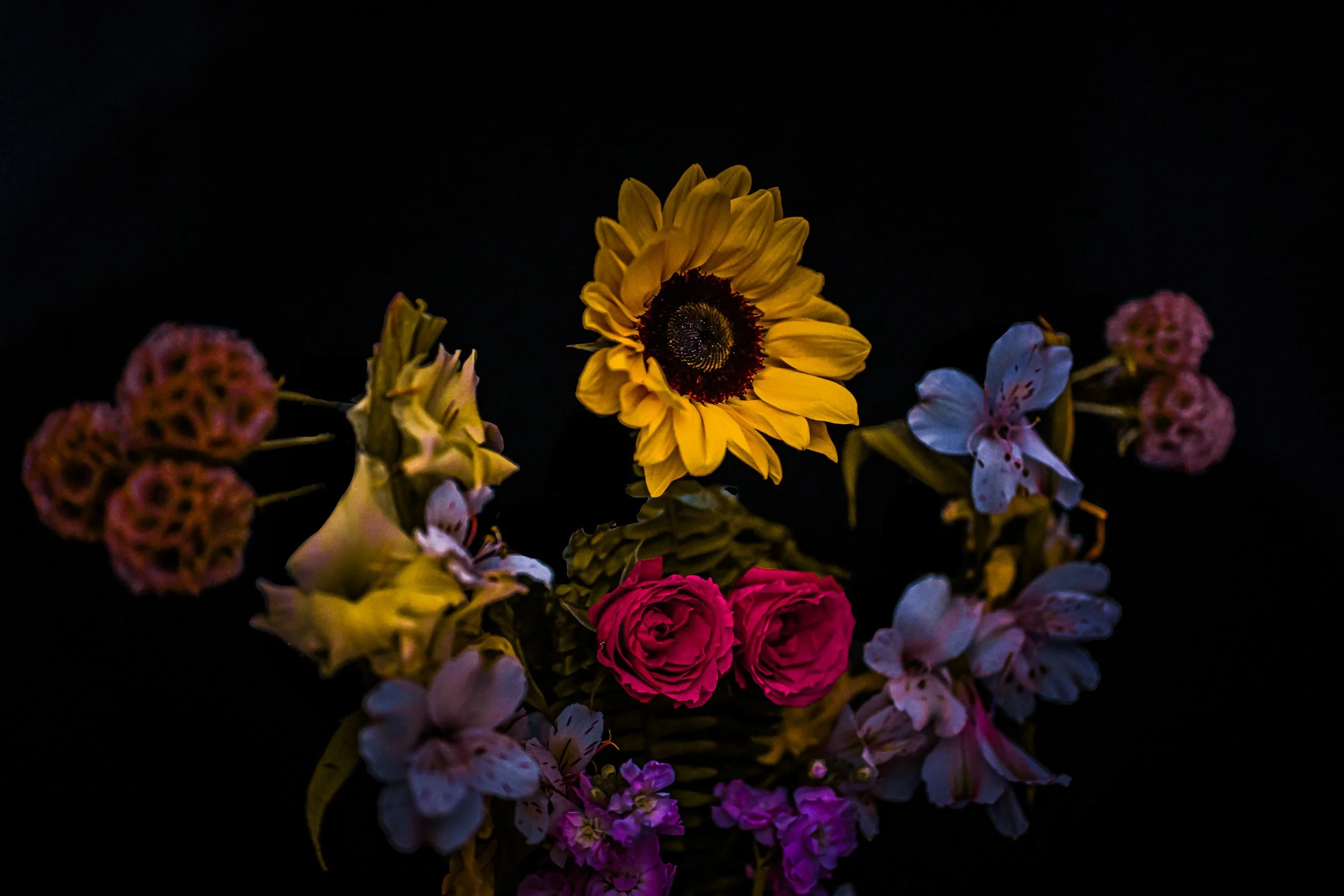 DSC_1168-2.jpg