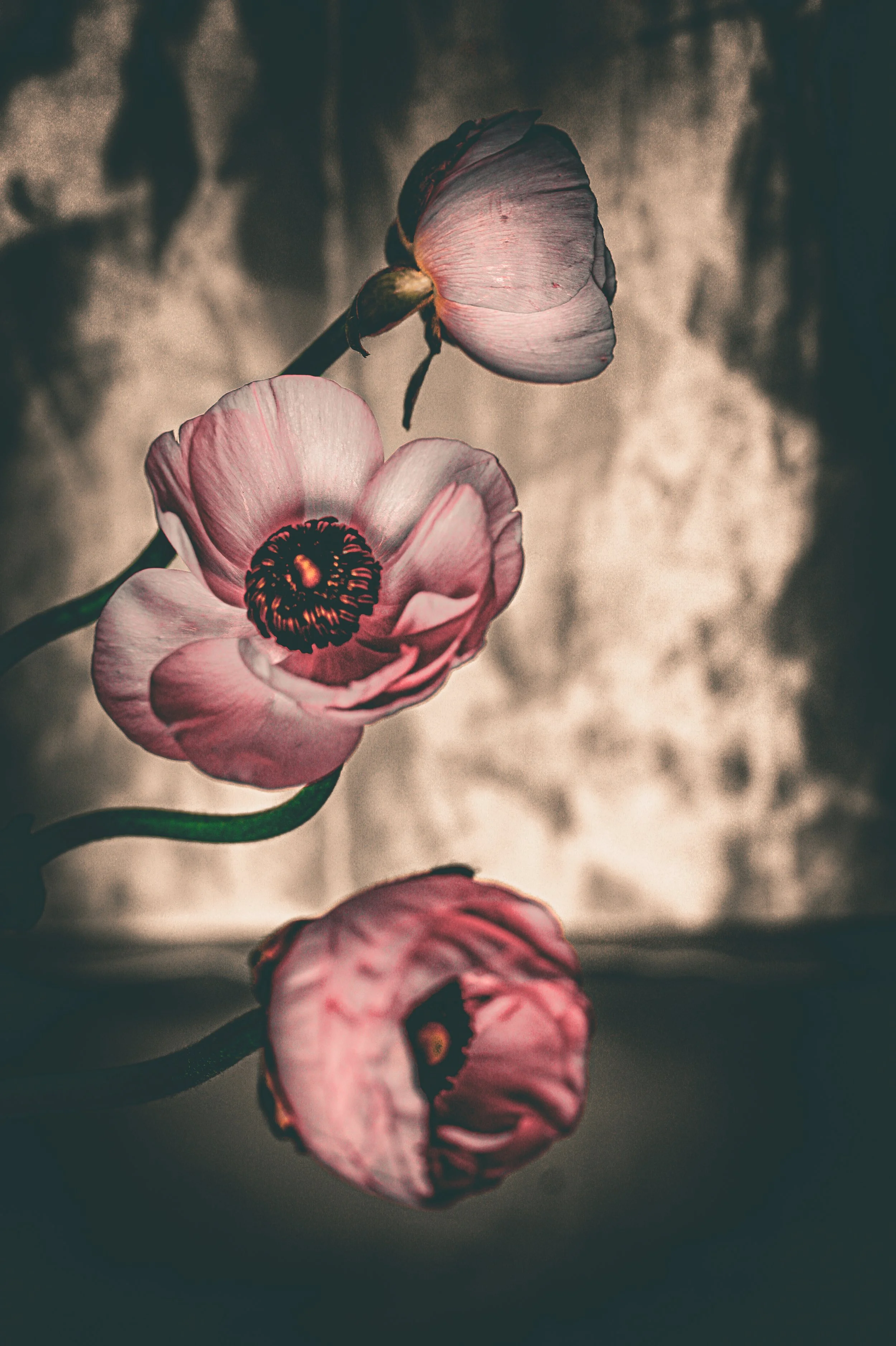 Silk Florals