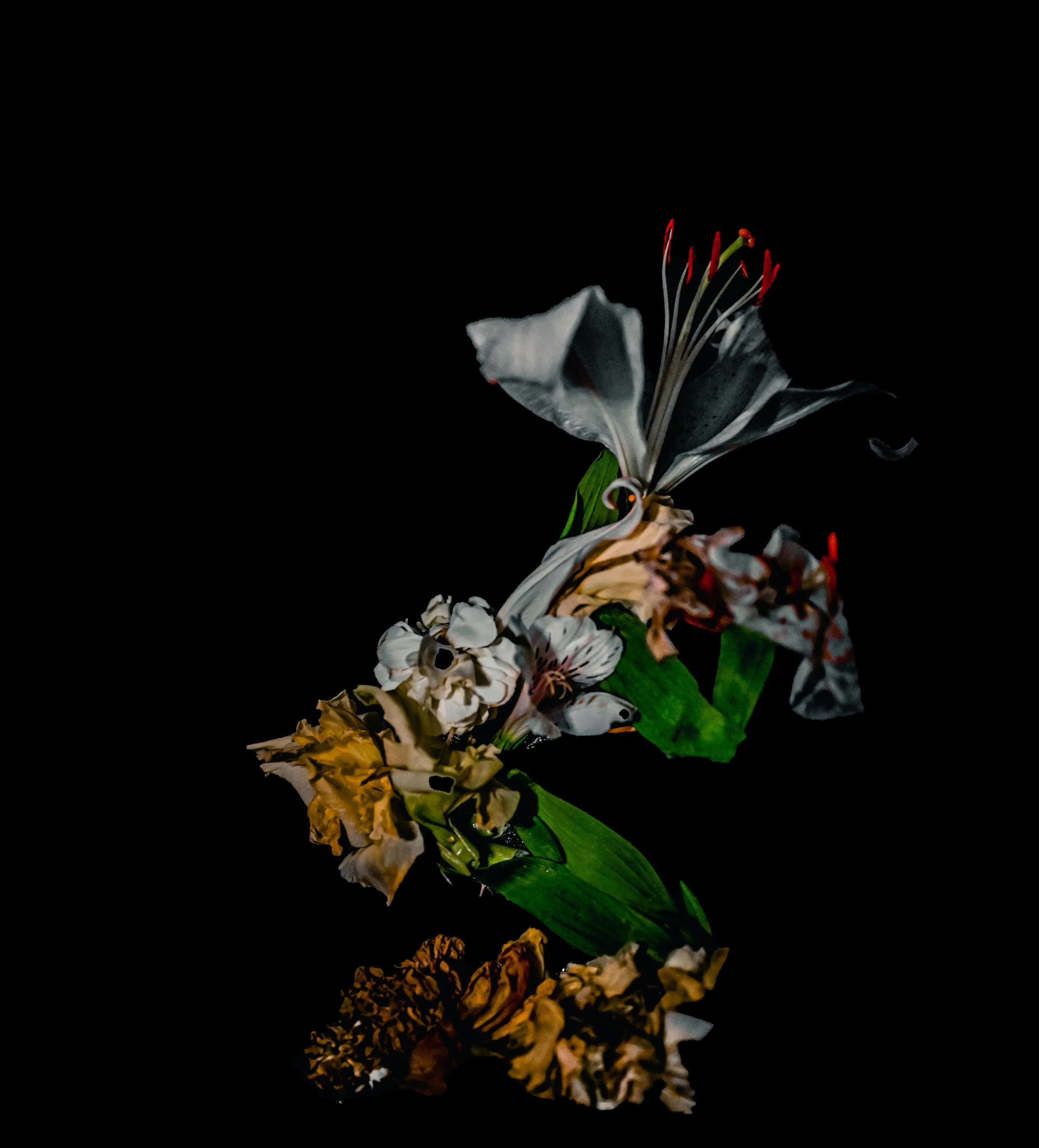 DSC_1211.jpg