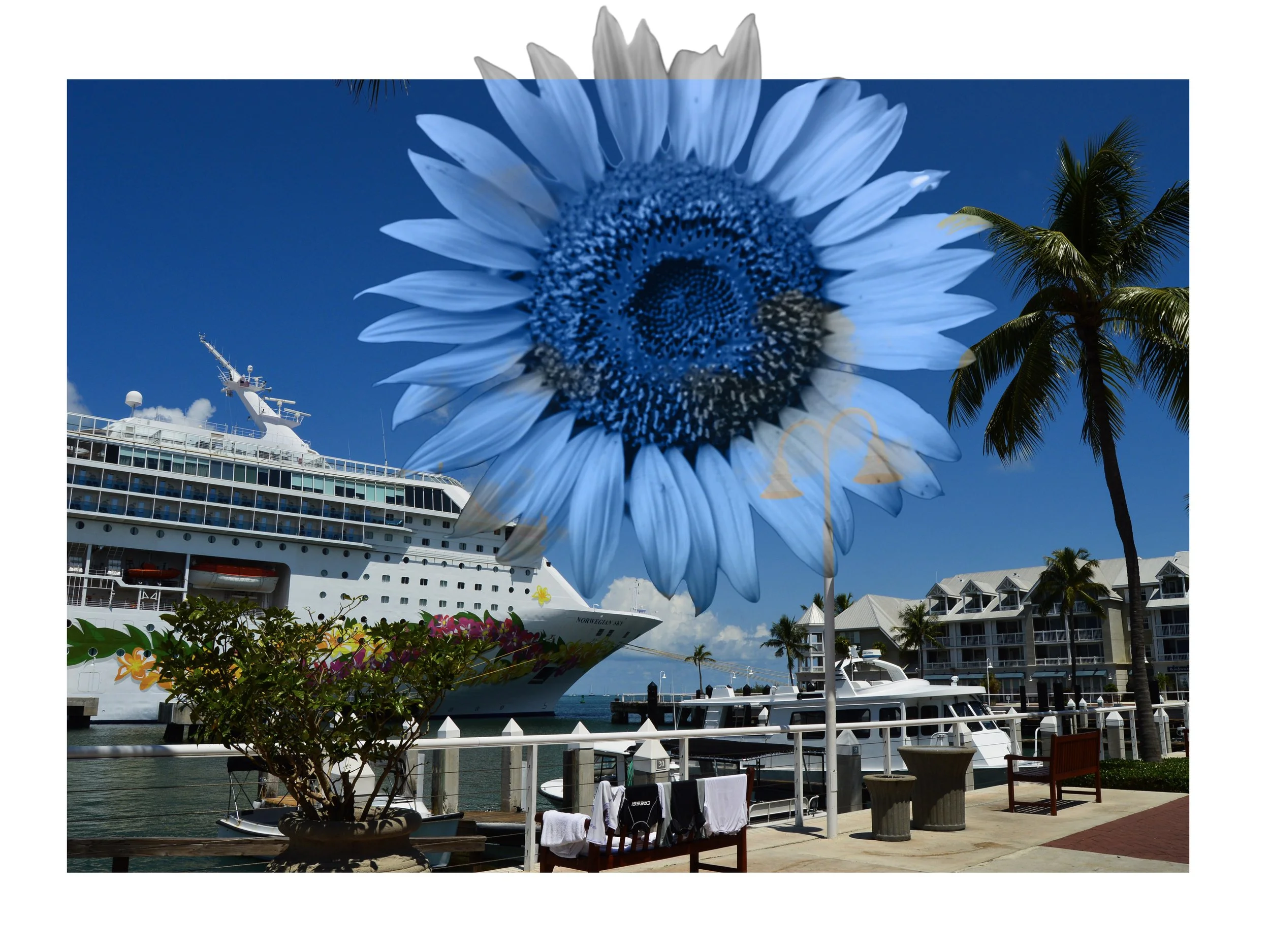 Blue Sun