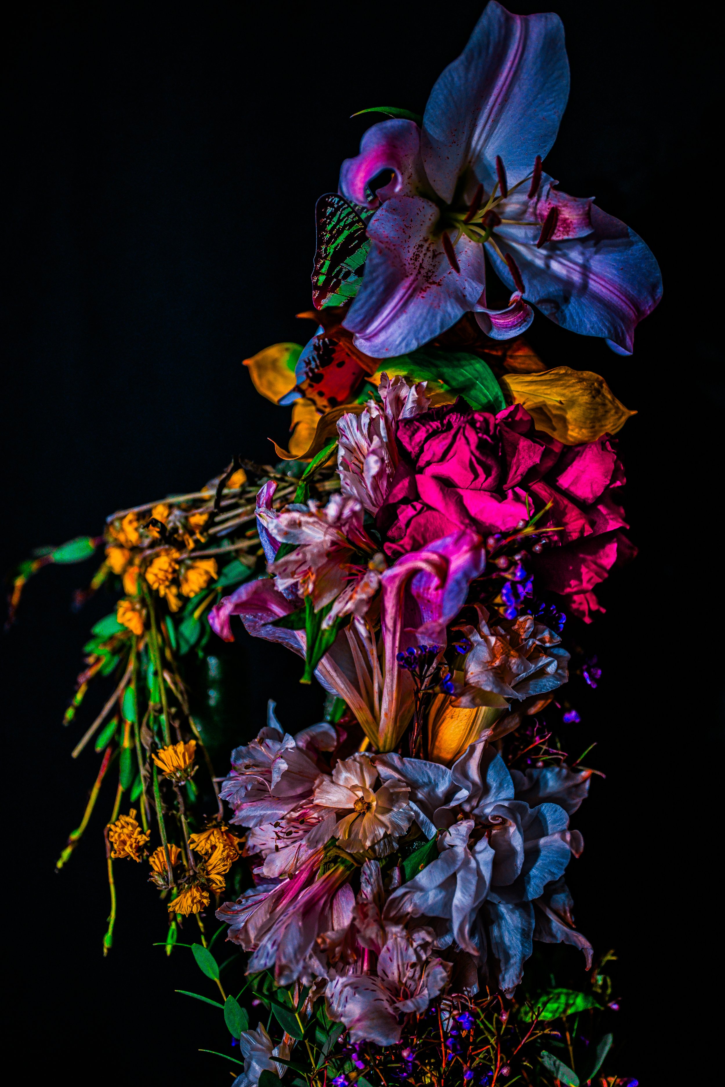 Untitled-75.jpg
