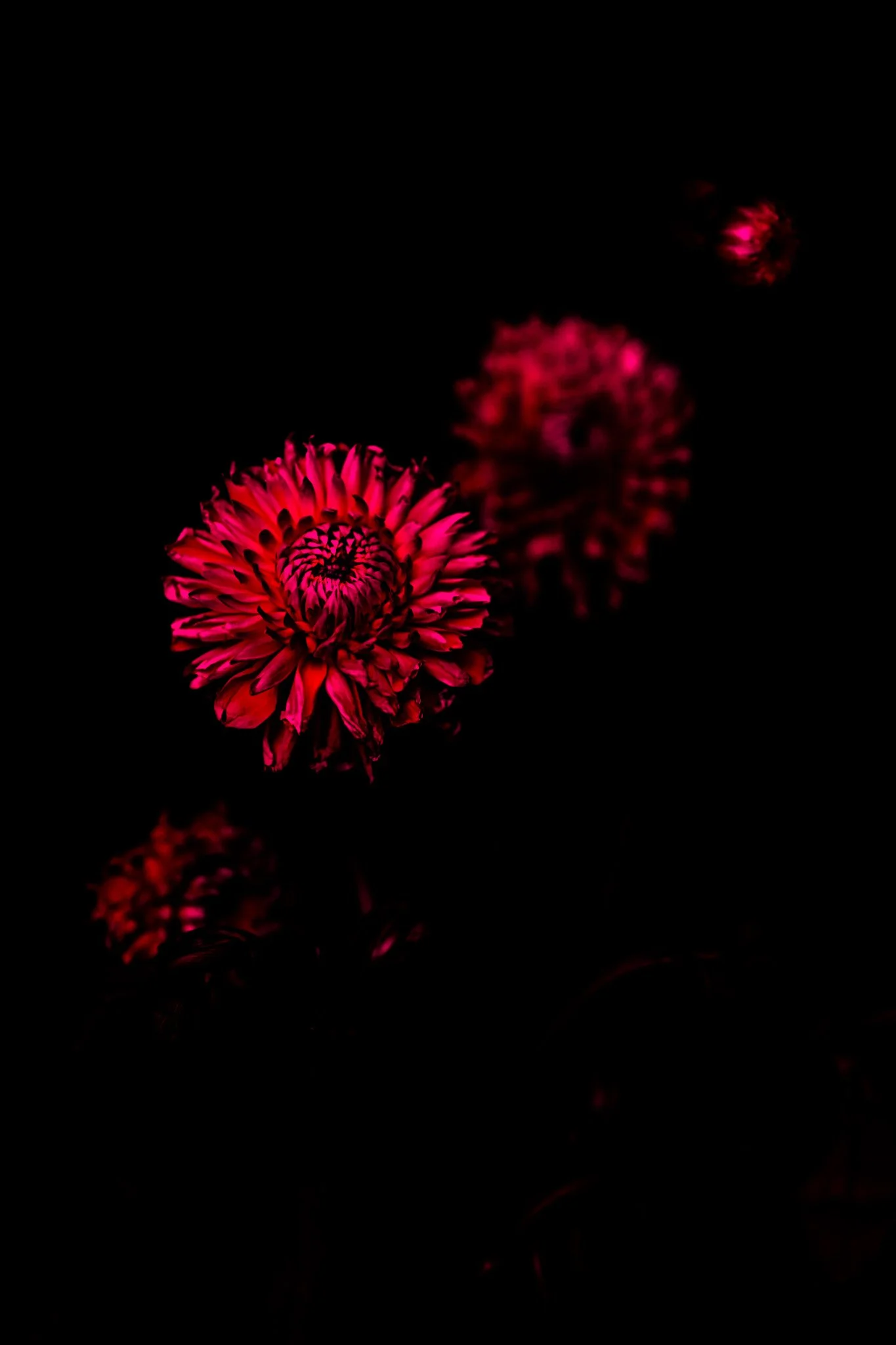 In the Dark