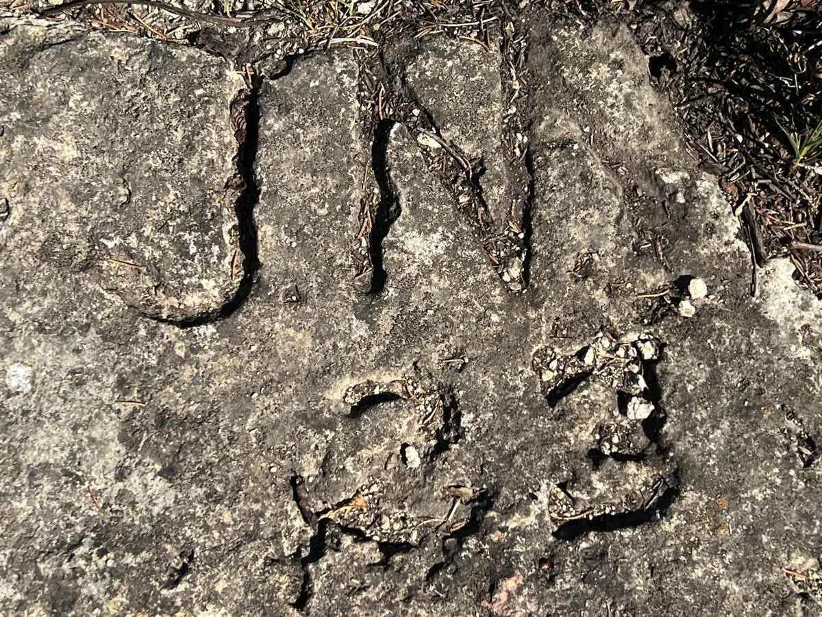 Carvings by settlers