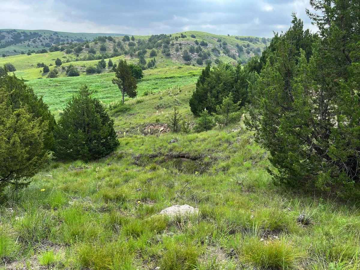 Ruts still visible today