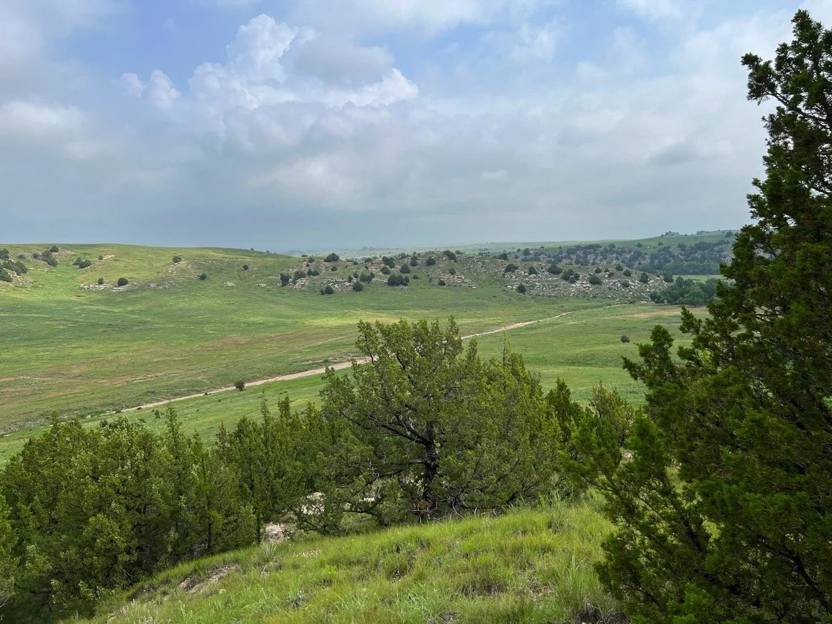 Top of the hill looking down