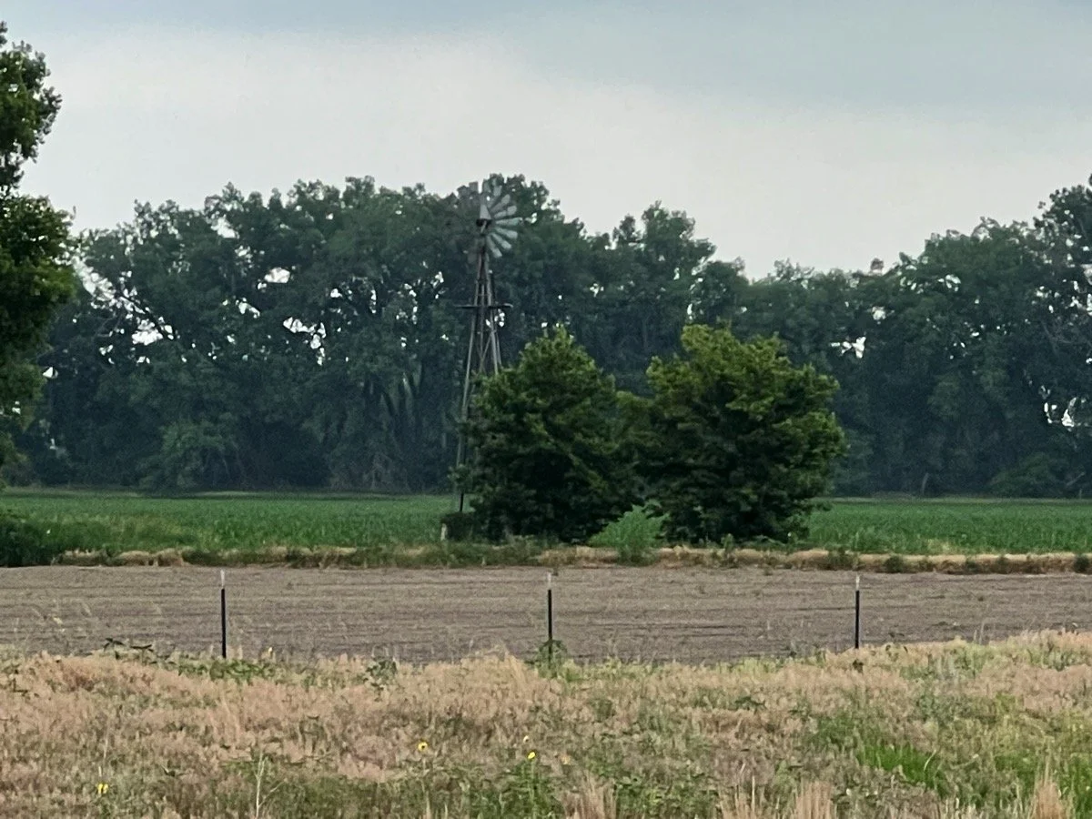 Battle site in the trees beyond the creek