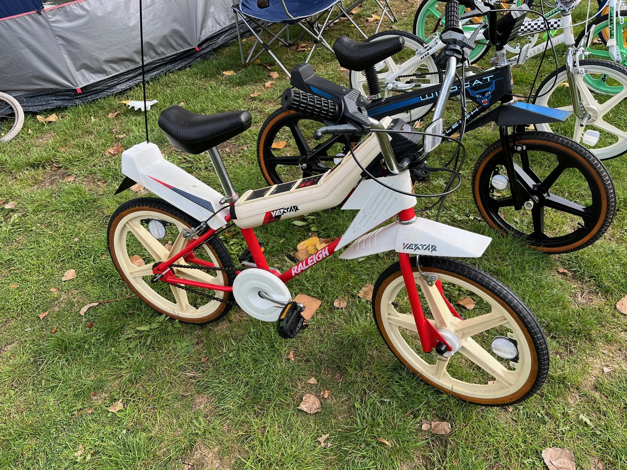 image2 (23).jpeg