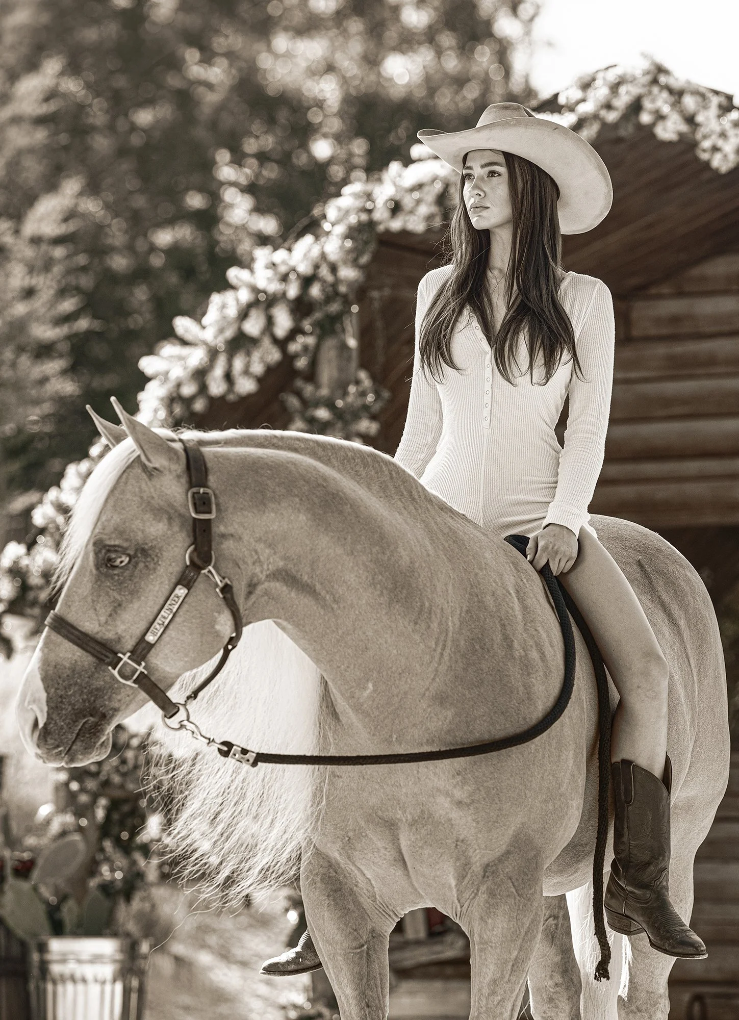 DSC_9792ebw copy.jpg