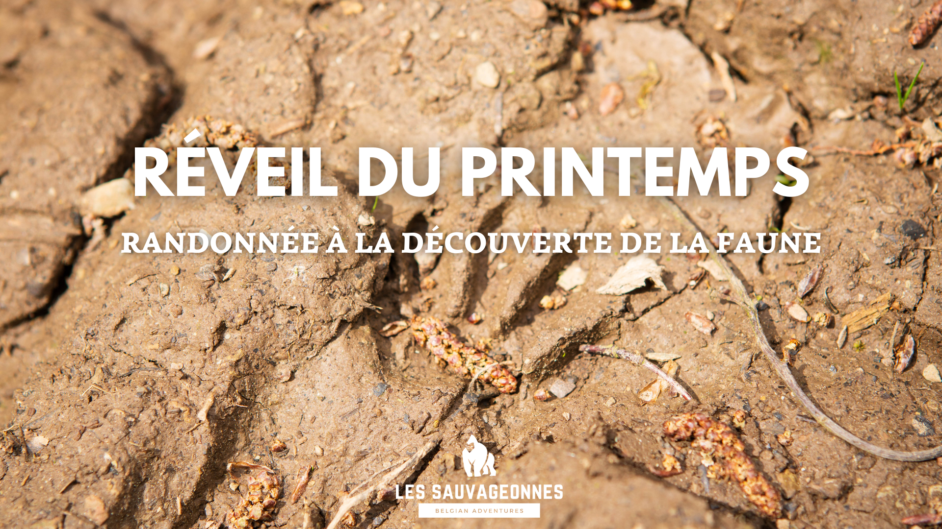 Le réveil du printemps