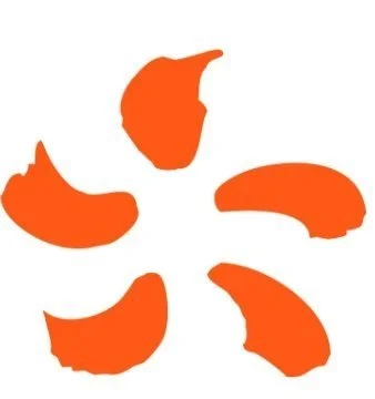 Capture d’écran 2023-11-23 à 00.02.39.jpg