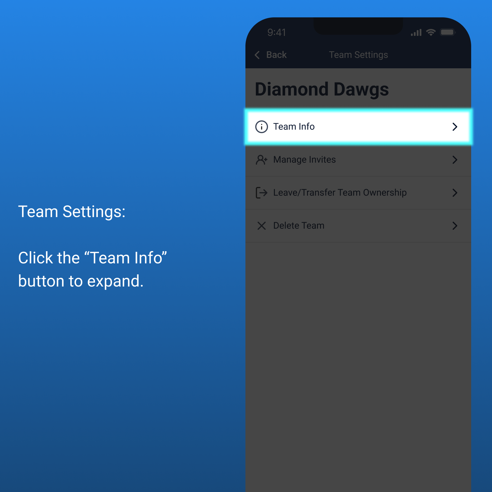 Team Settings - Team Info