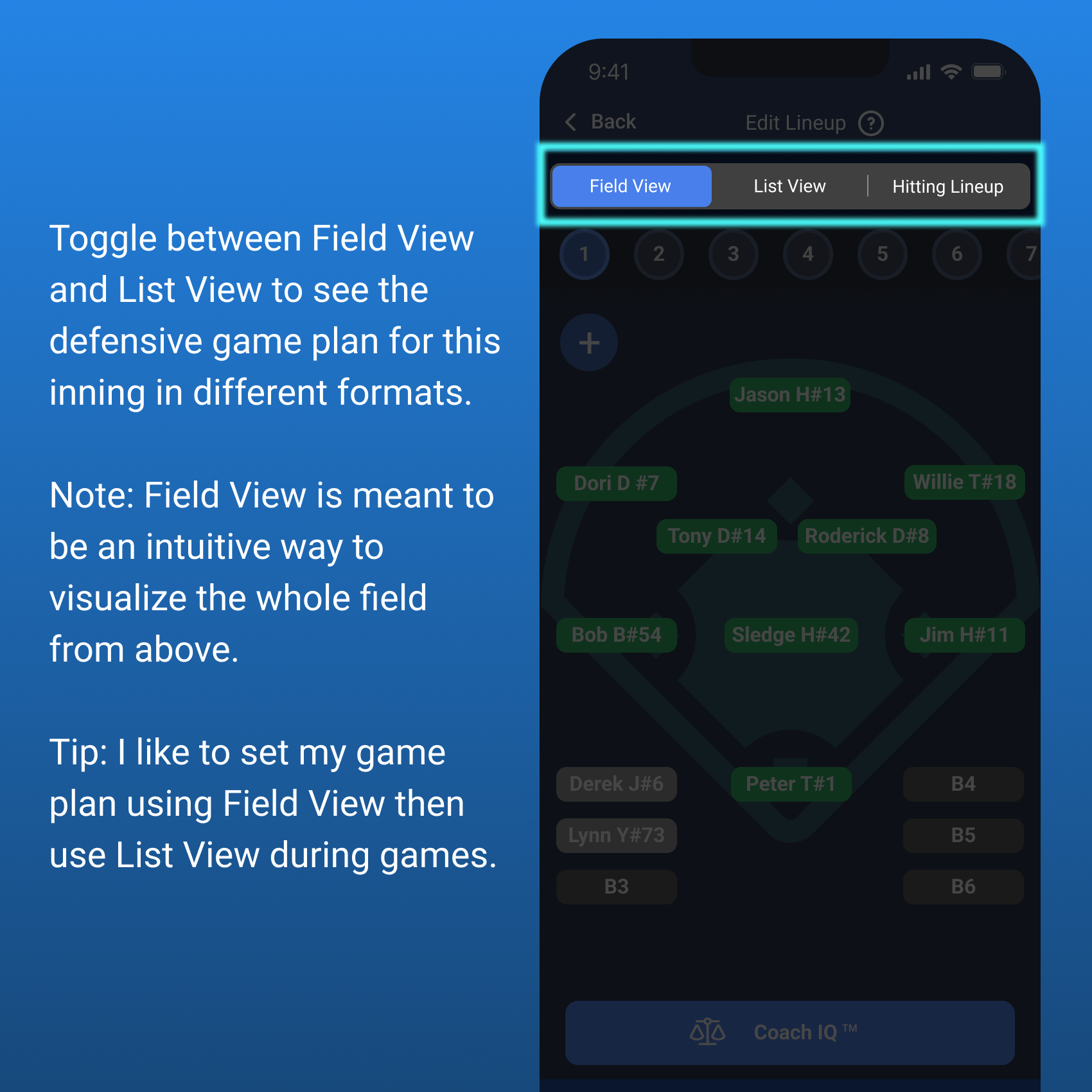 Field View Toggle