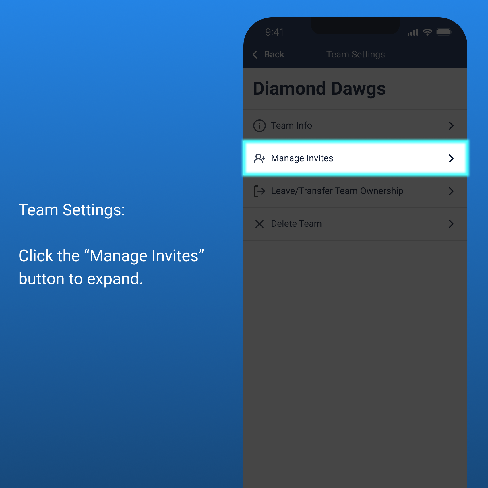 Team Settings - Manage Invites
