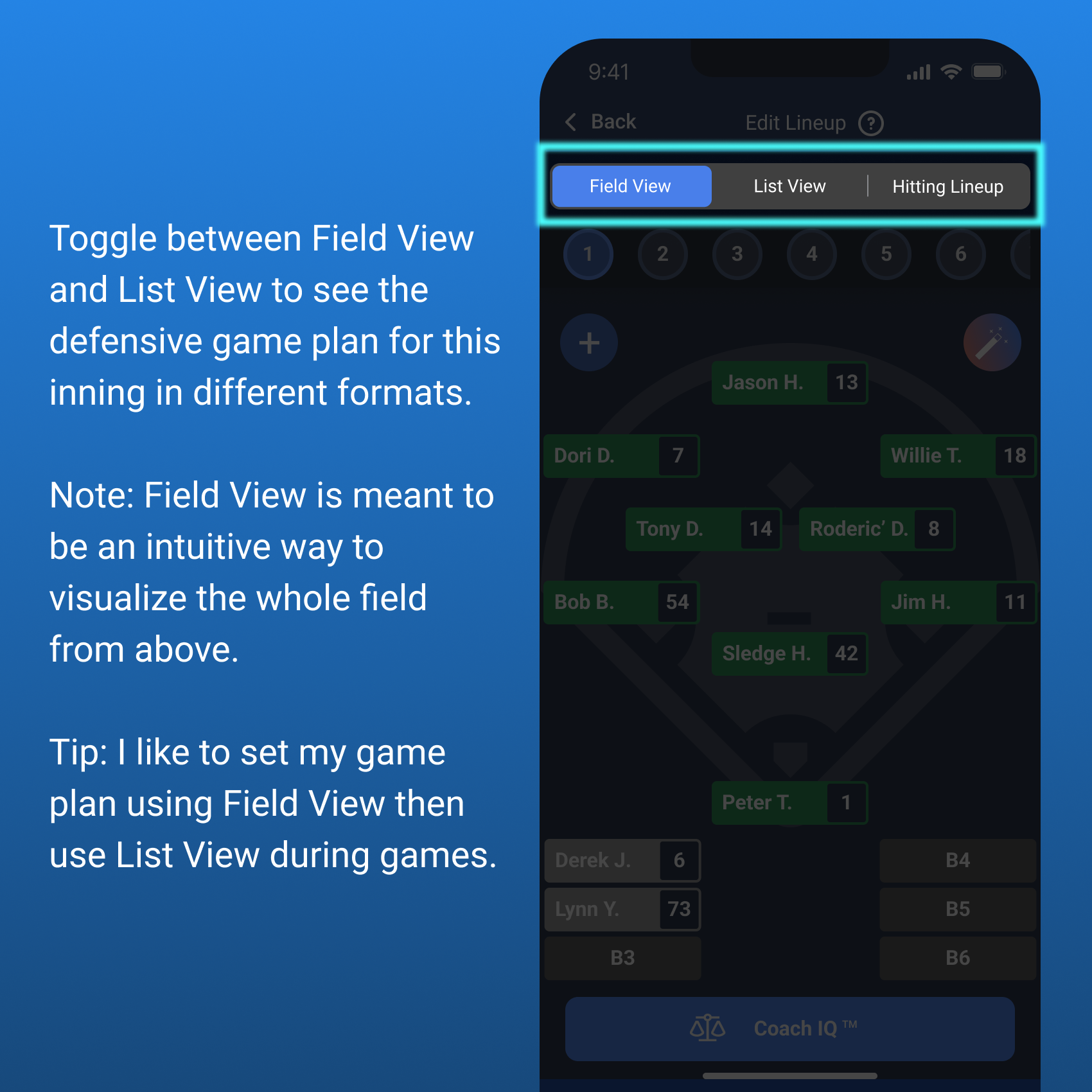 Field View Toggle