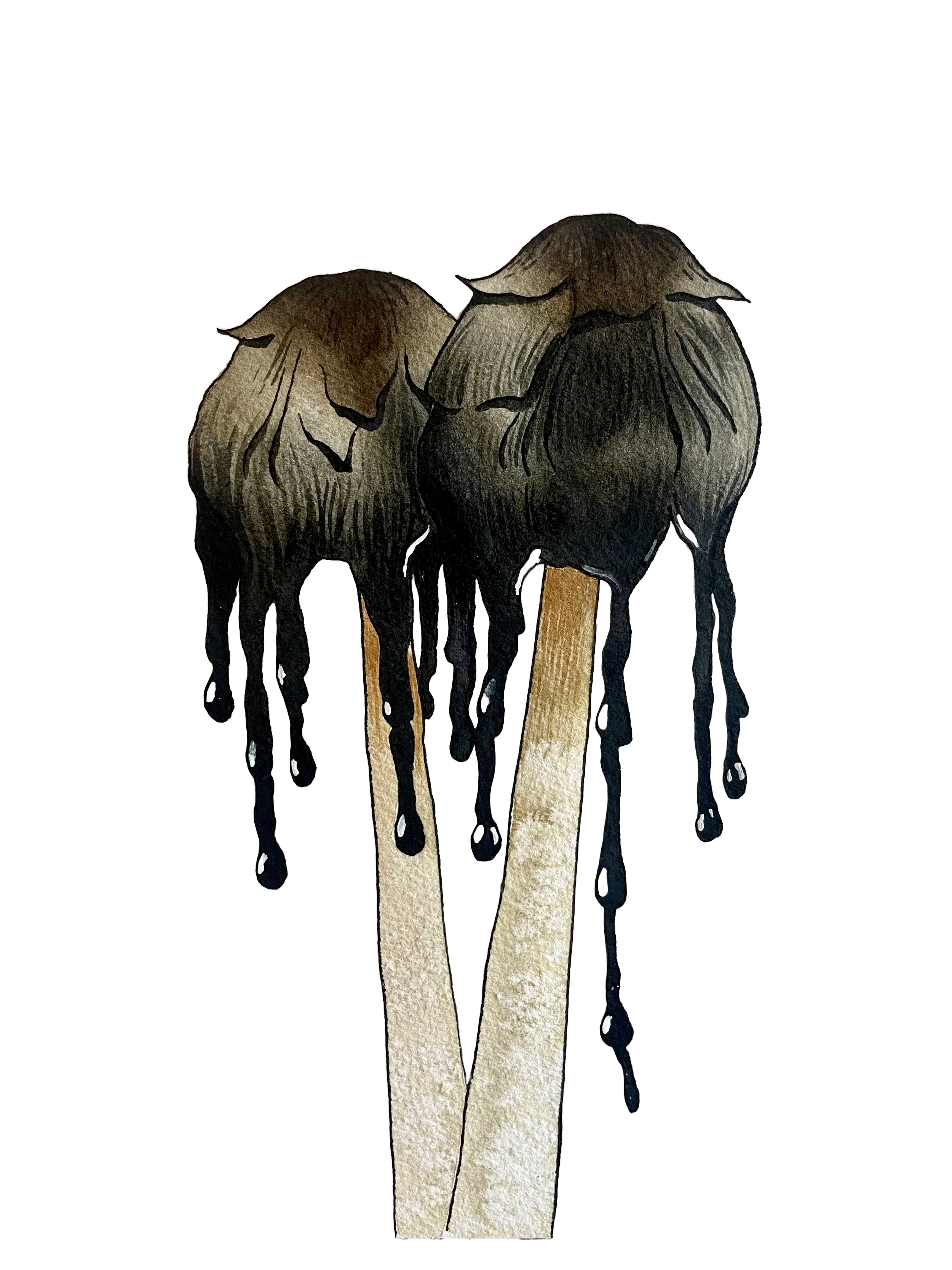 IMG_7937 (1).png