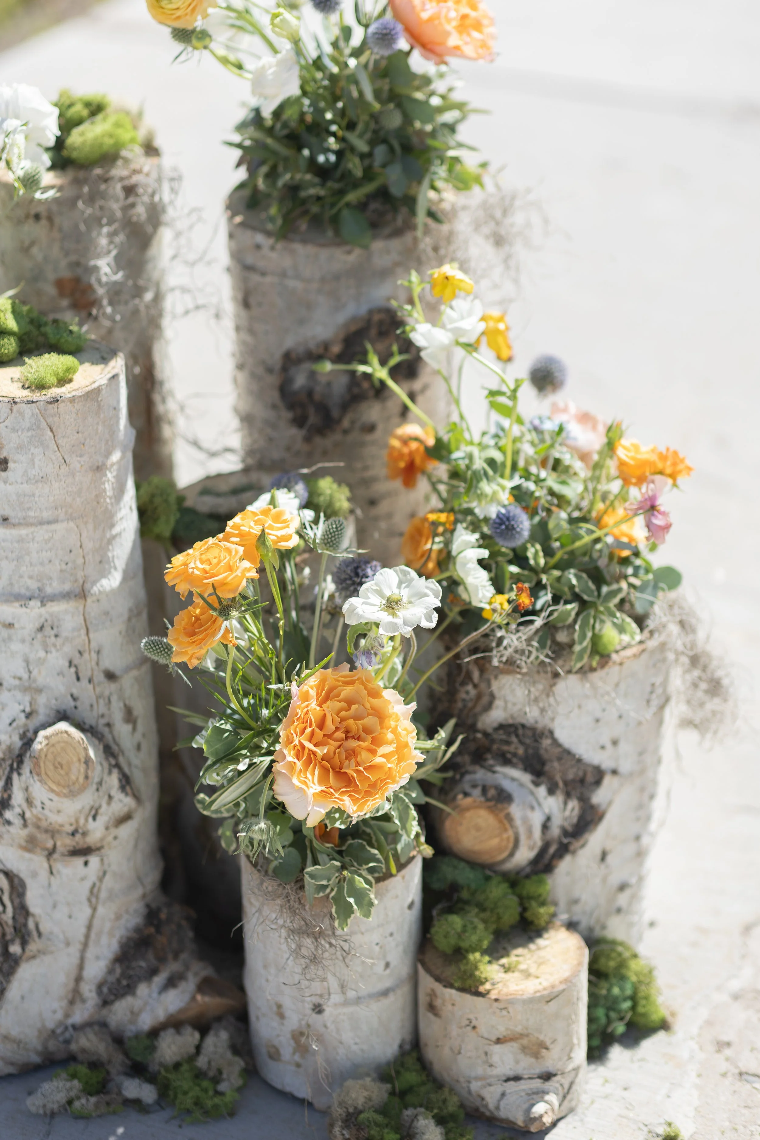 small tree stumps with flowers on top