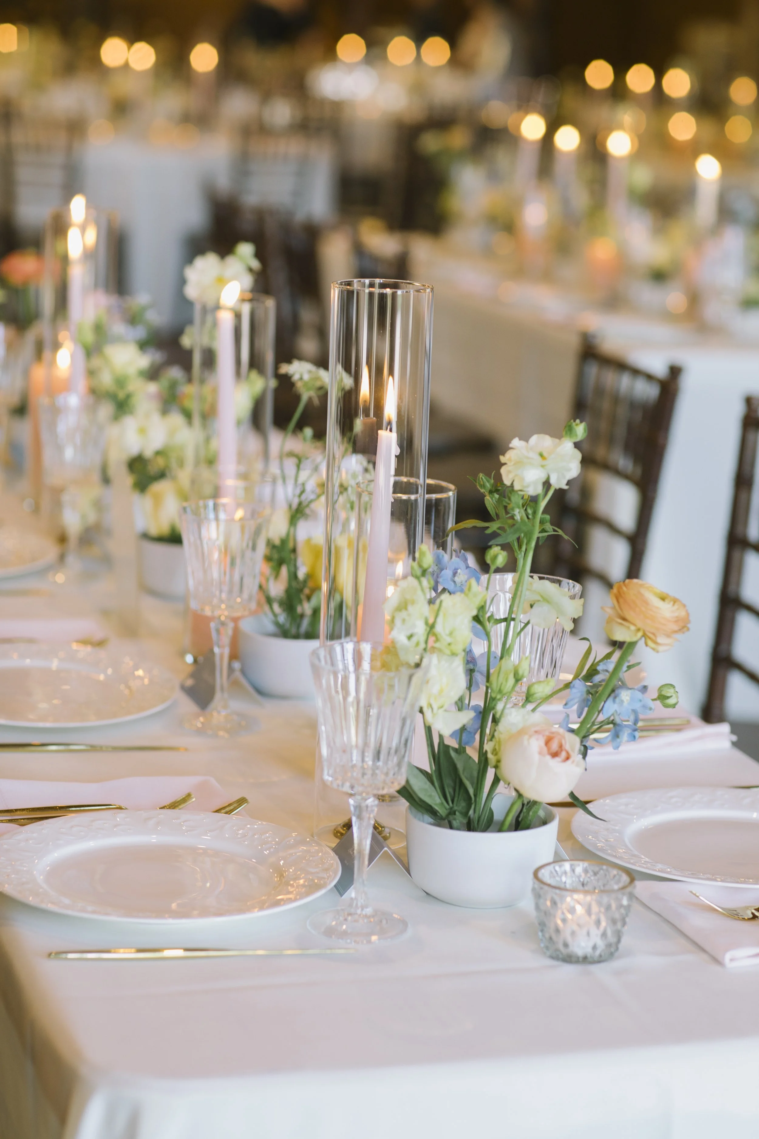 Spruce - reception  (1).jpg