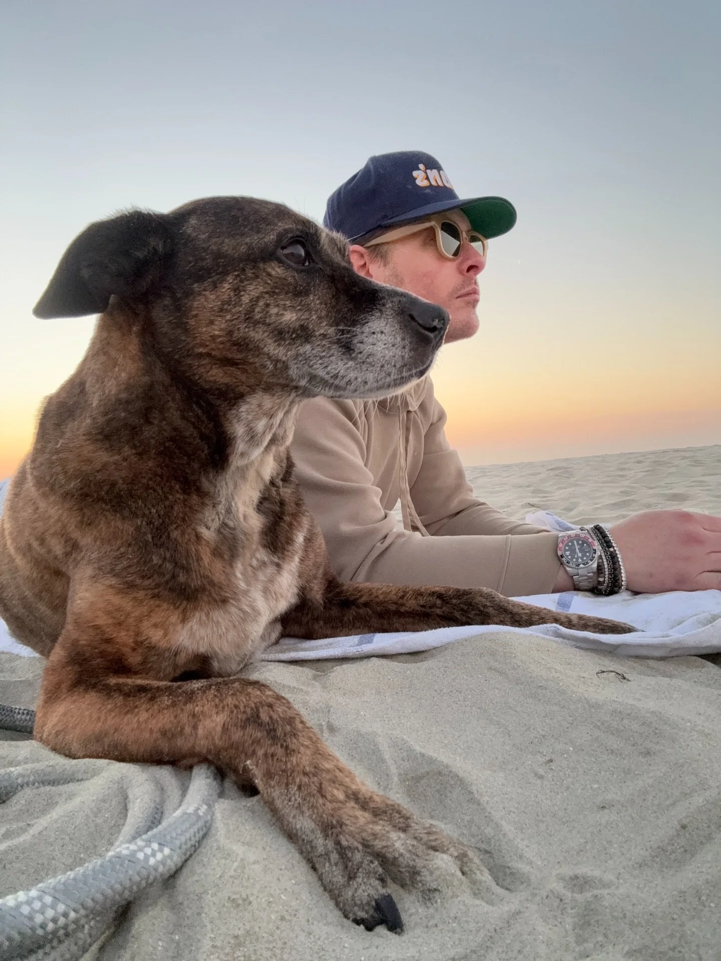 My sweet old man. 
#regardinghenry 
#henrydogface 
#hank