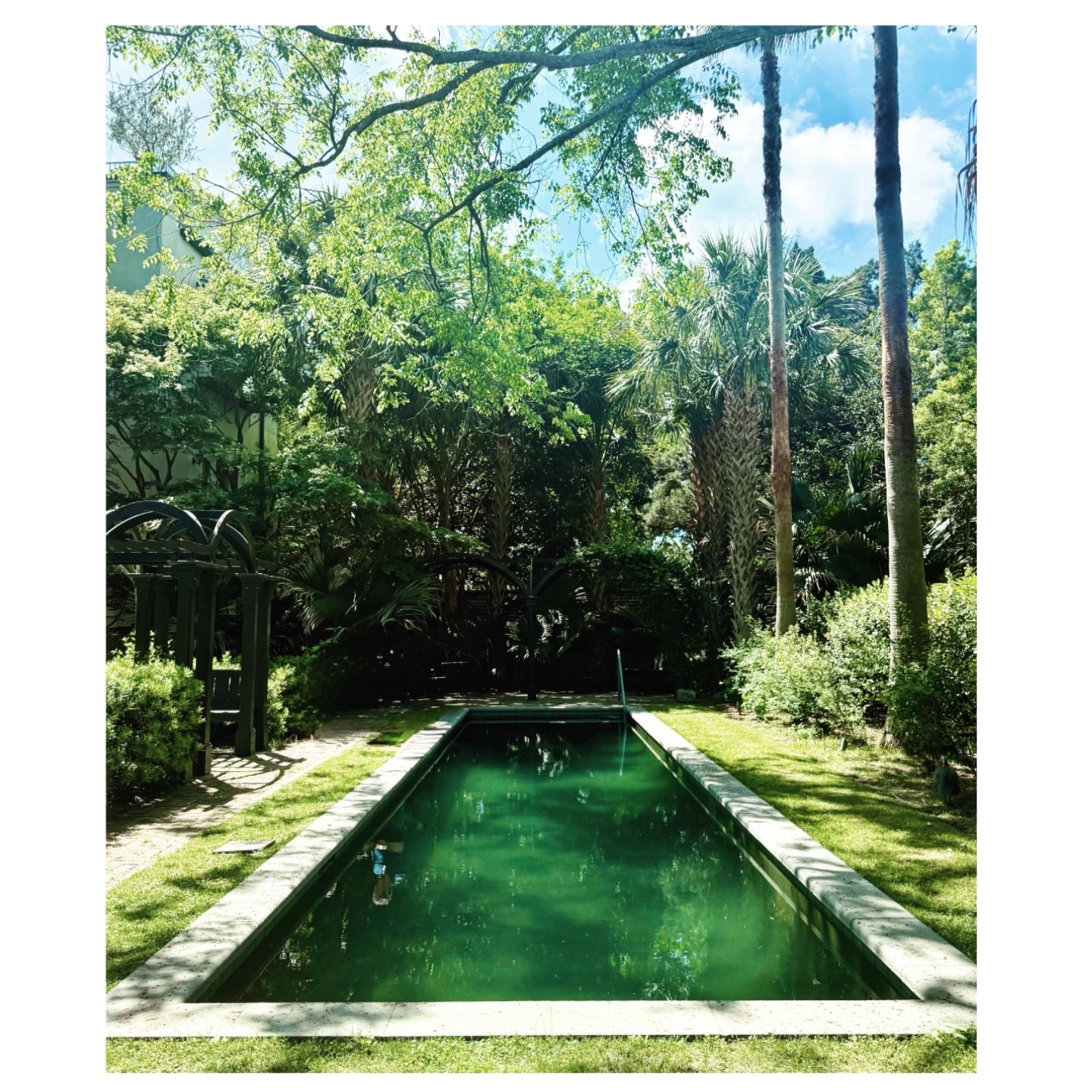 Cement pond . . .

Swimmin&rsquo; pools &bull; SoB

#jacoblawsinteriordesigncharleston 
#7LegareStreet
#historiccharleston 
#jacoblawsinteriordesignhistoricpreservation
#jacoblawsofstyle
