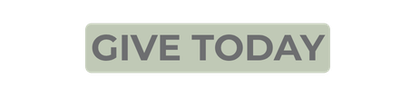 Give Today Button
