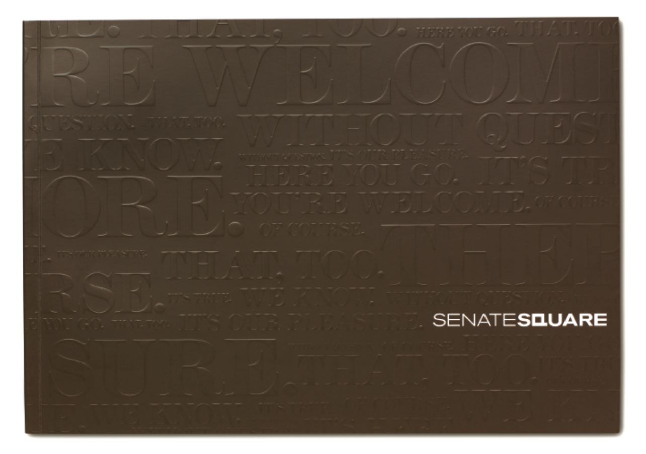 Senate Square COV.png