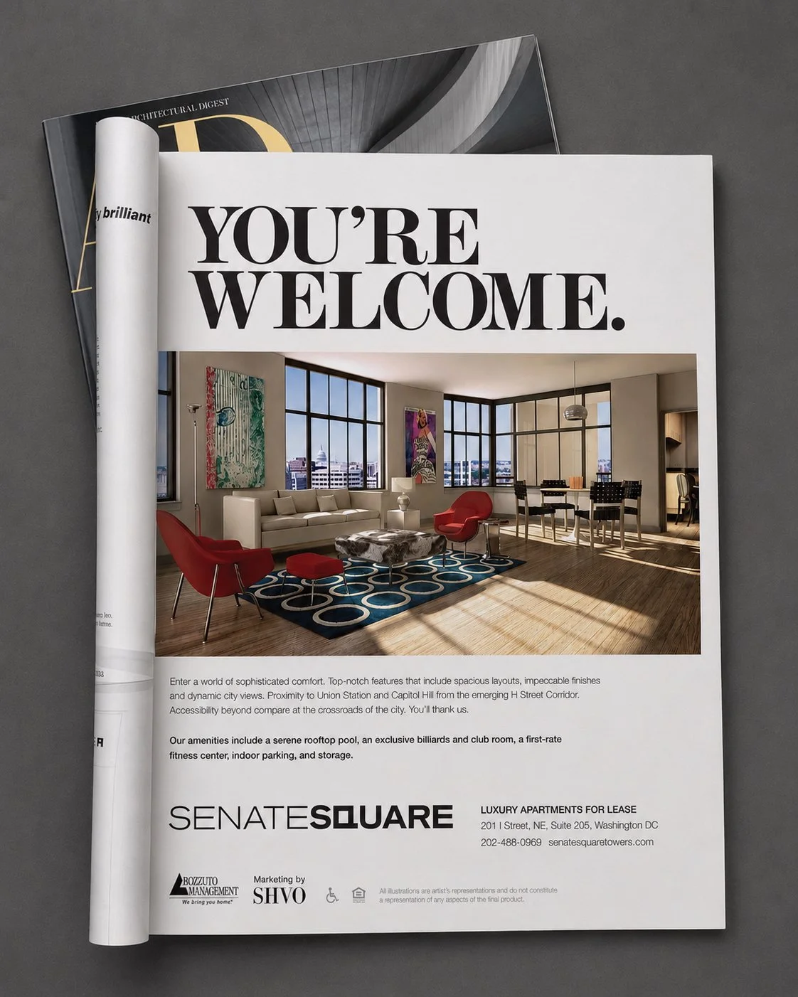 SS_print_ad1 mockup.jpg