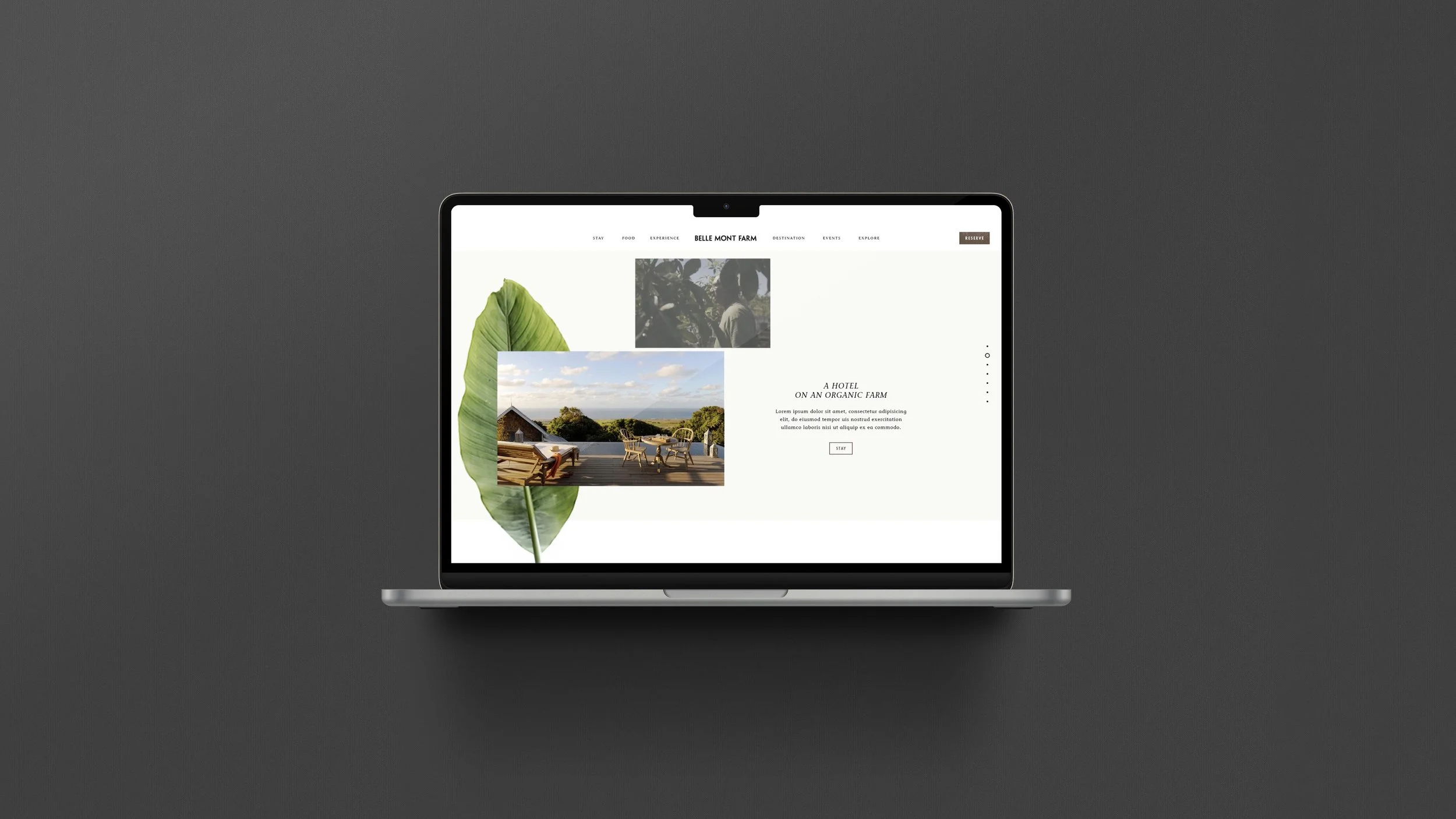 Belle Mont Farm Static Web Mock Up 5.jpg