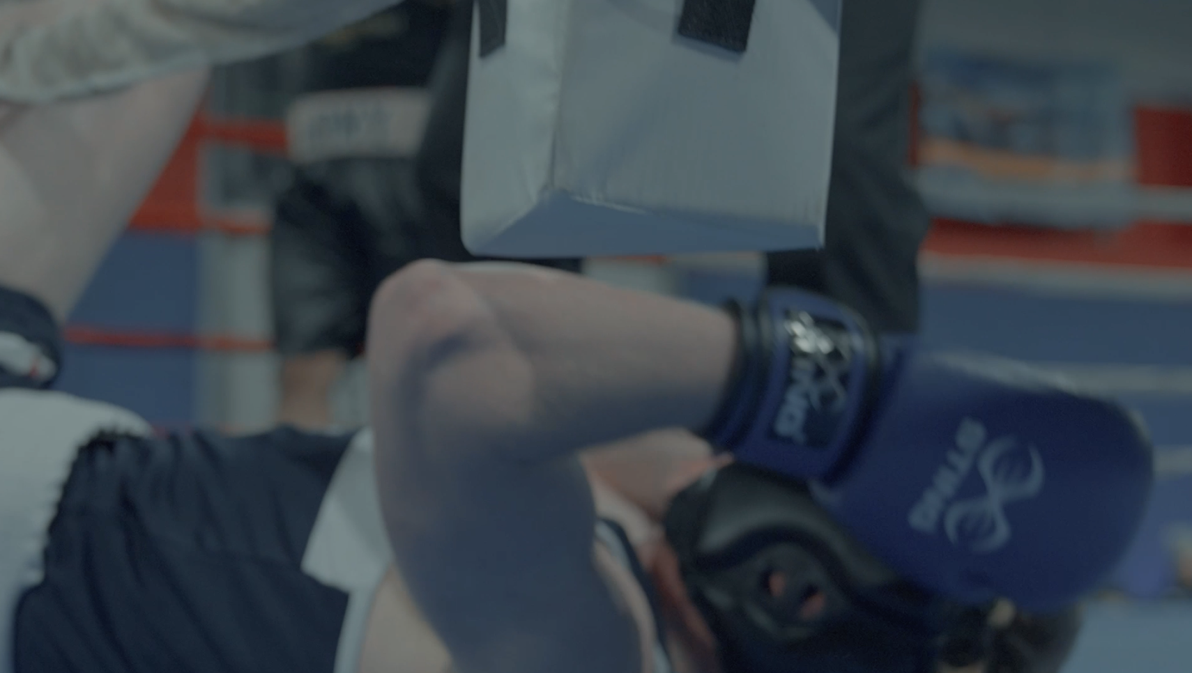 West Point Military Academy Boxing Pt. 2