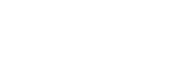 Freedom Chasers