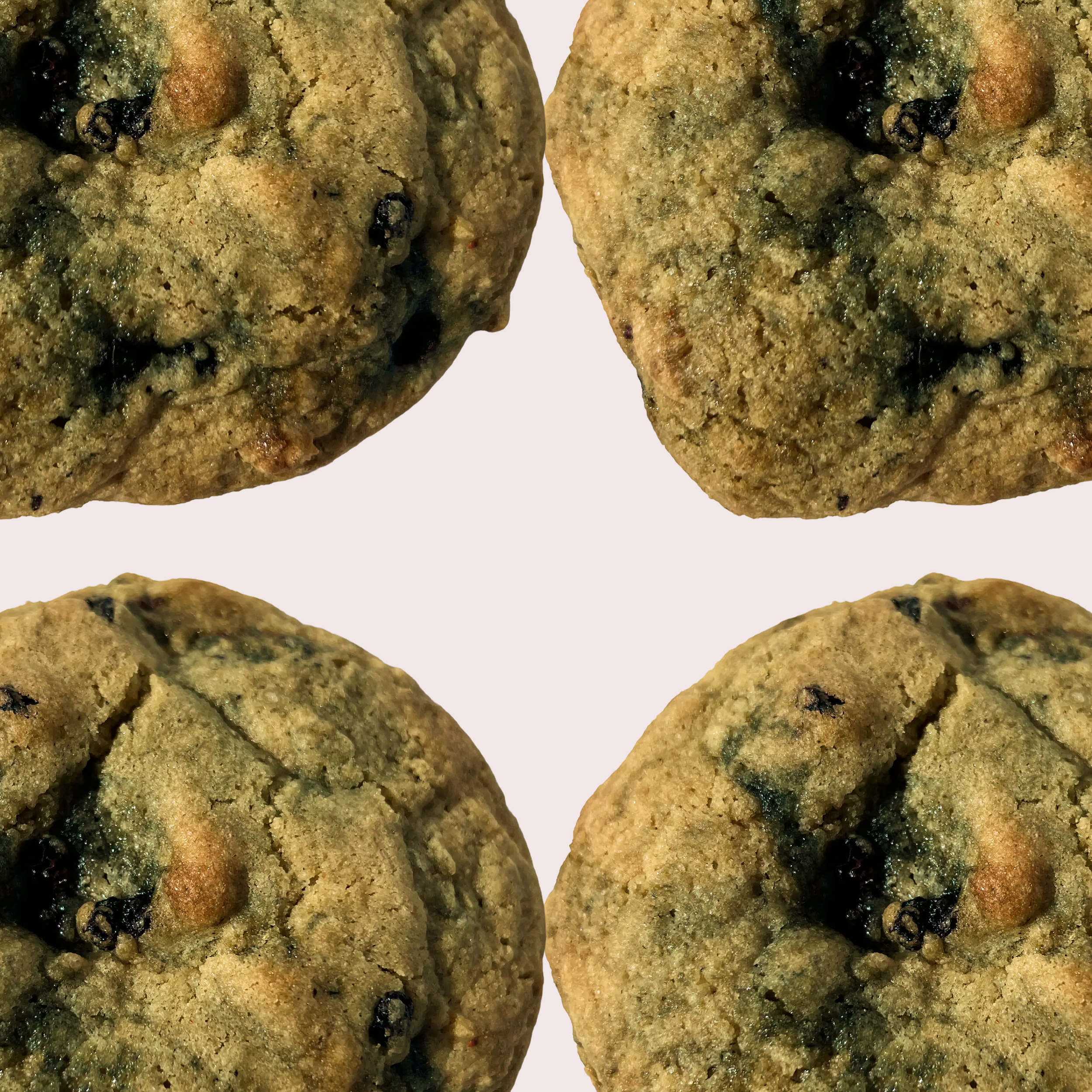 The Blueberry Cookie