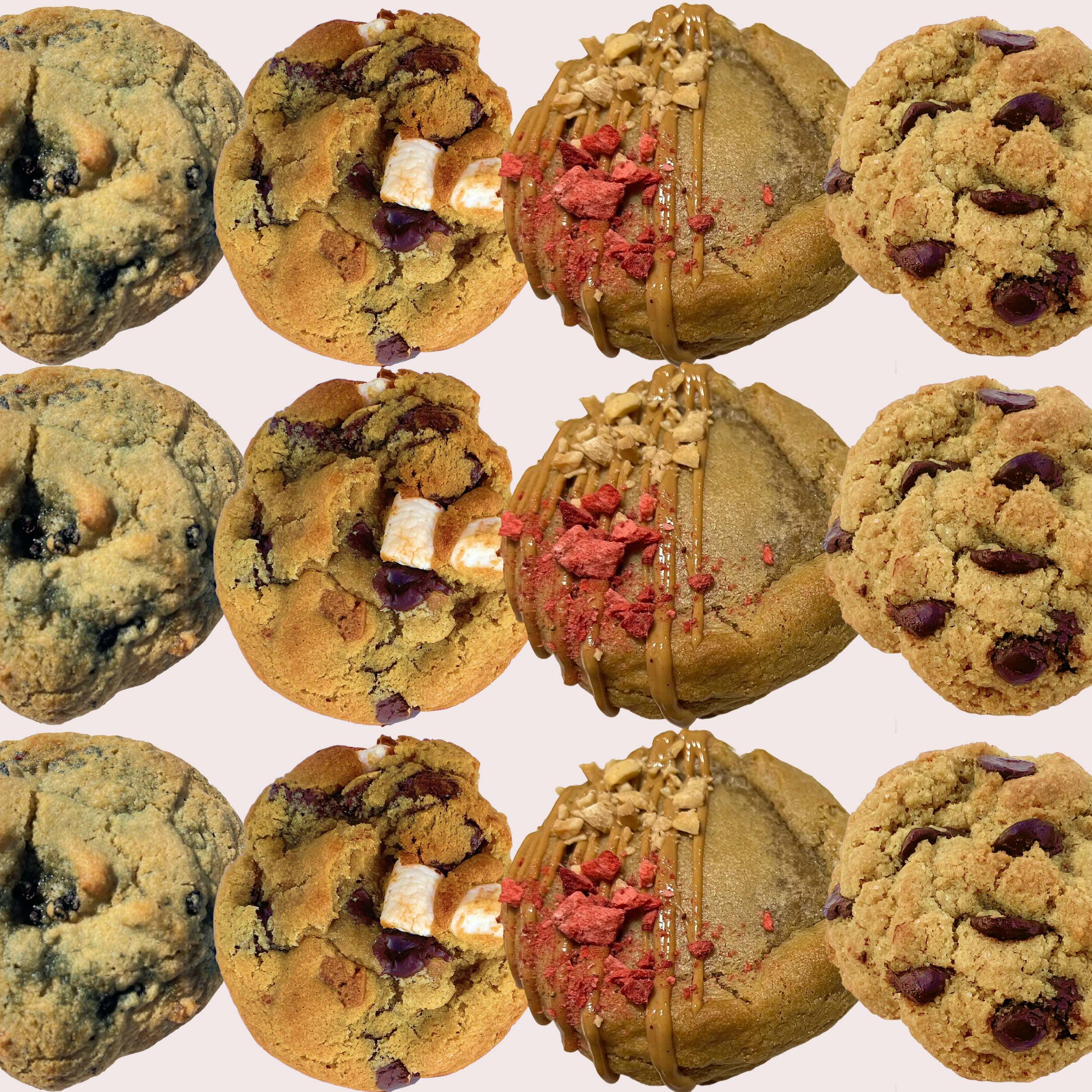 sampler dozen.png
