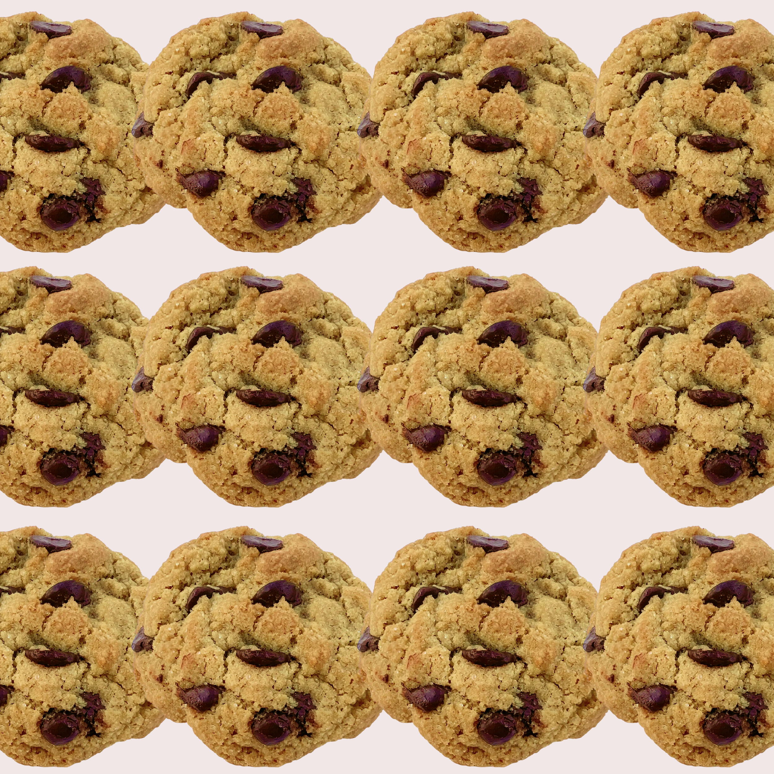 chocolate chip dozen.png