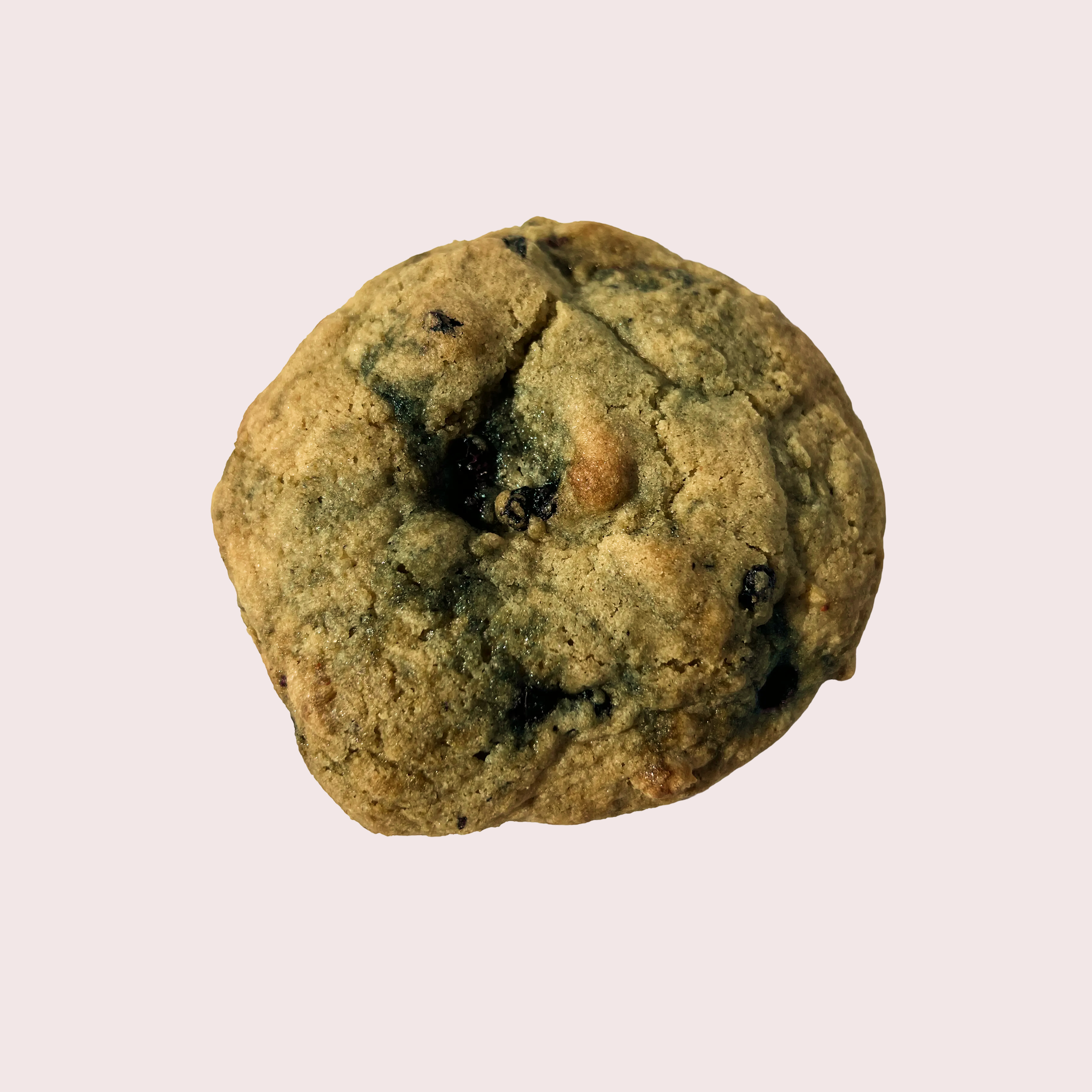 The Blueberry Cookie