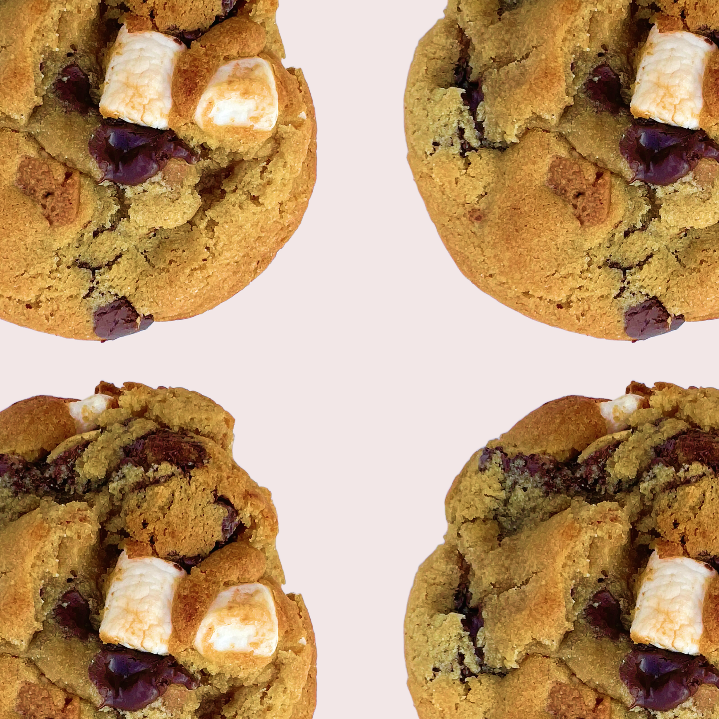smores 4 pack.png