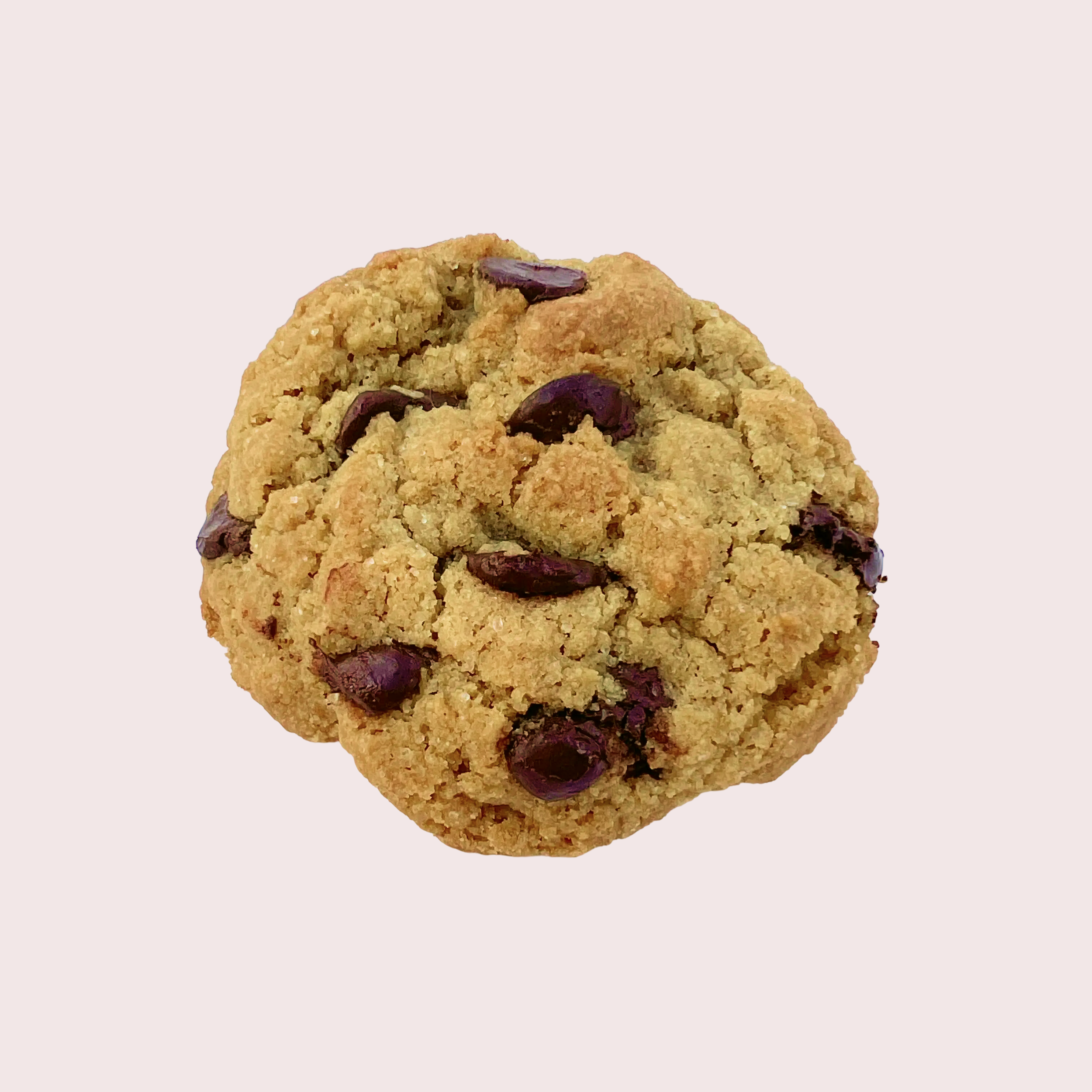 The Chocolate Chip Cookie