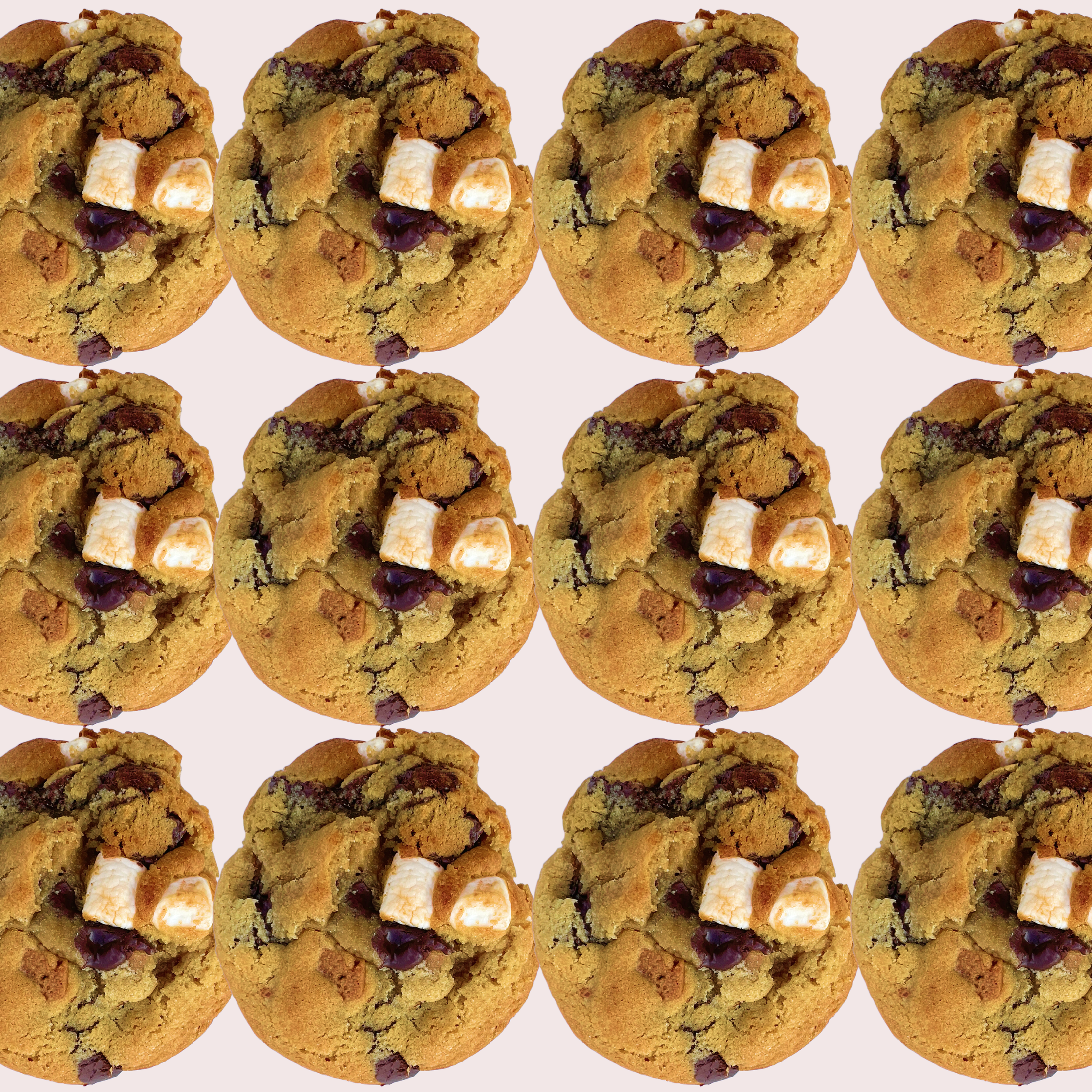smores dozen.png