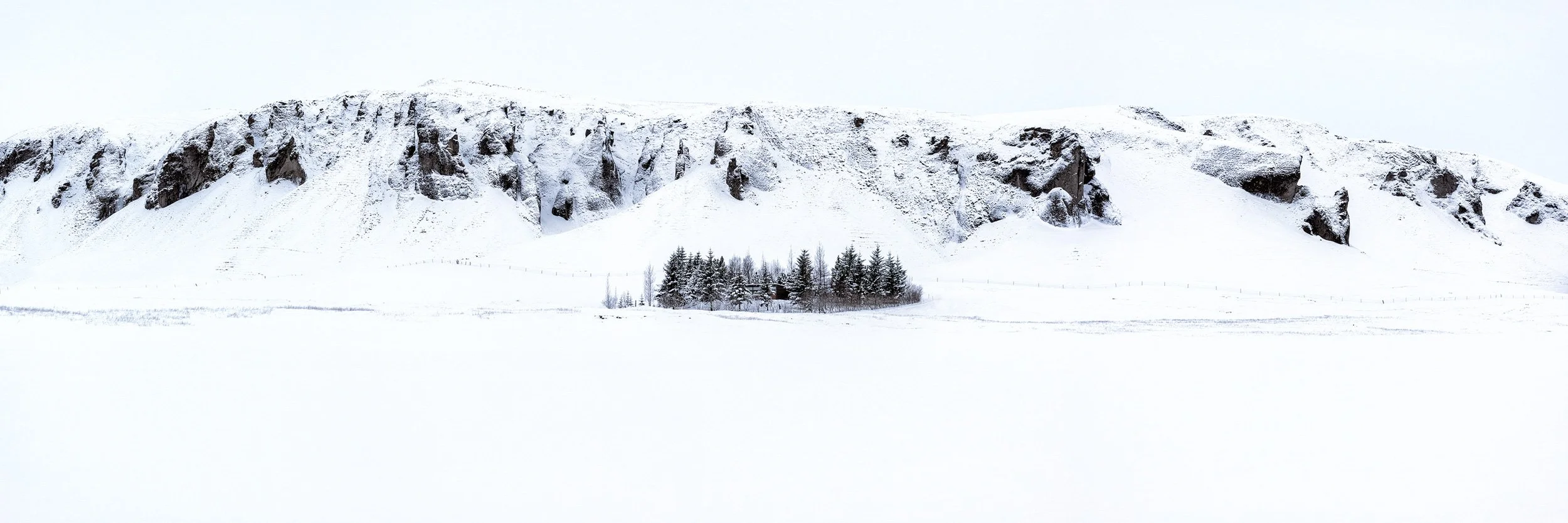 Minimalist Iceland winter panorama with snowy hills, dark volcanic ridges, and a small forest surrounded by white snow.
