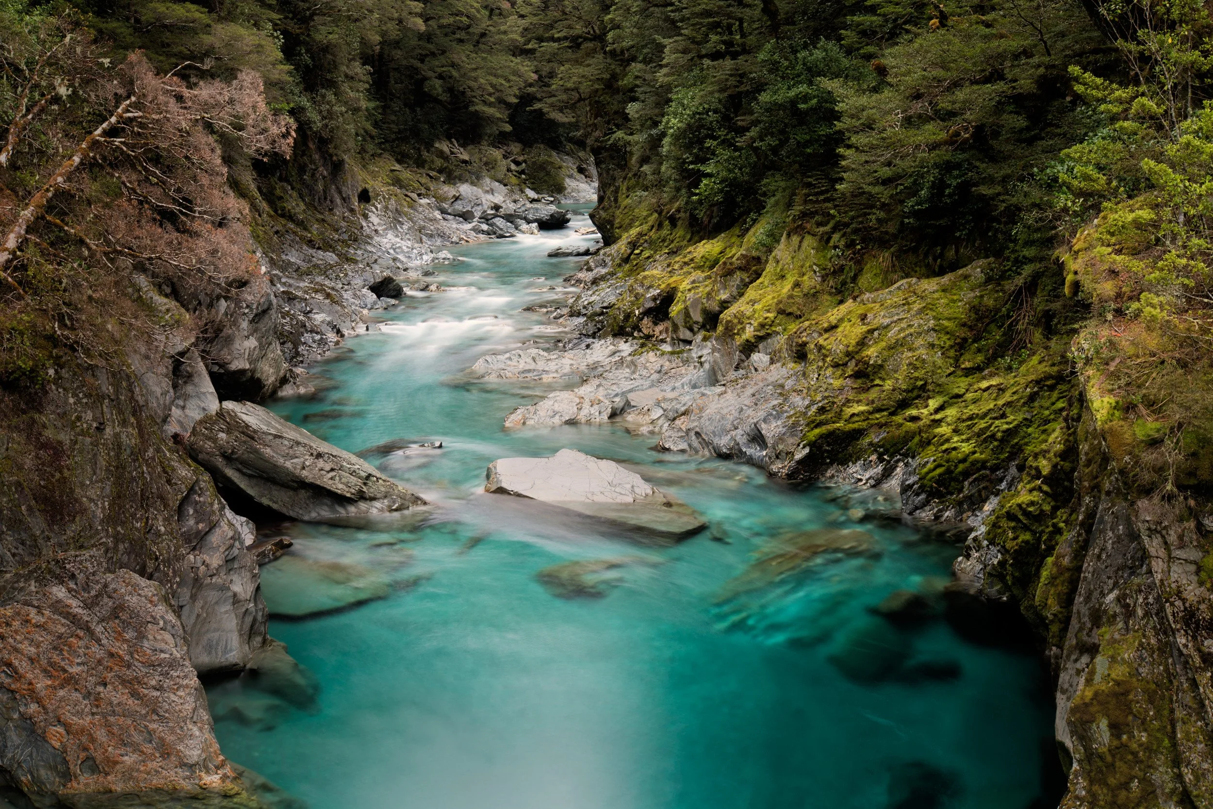 Turquoise New Zealand river winding through a rocky forest gorge with mossy banks and clear alpine water.