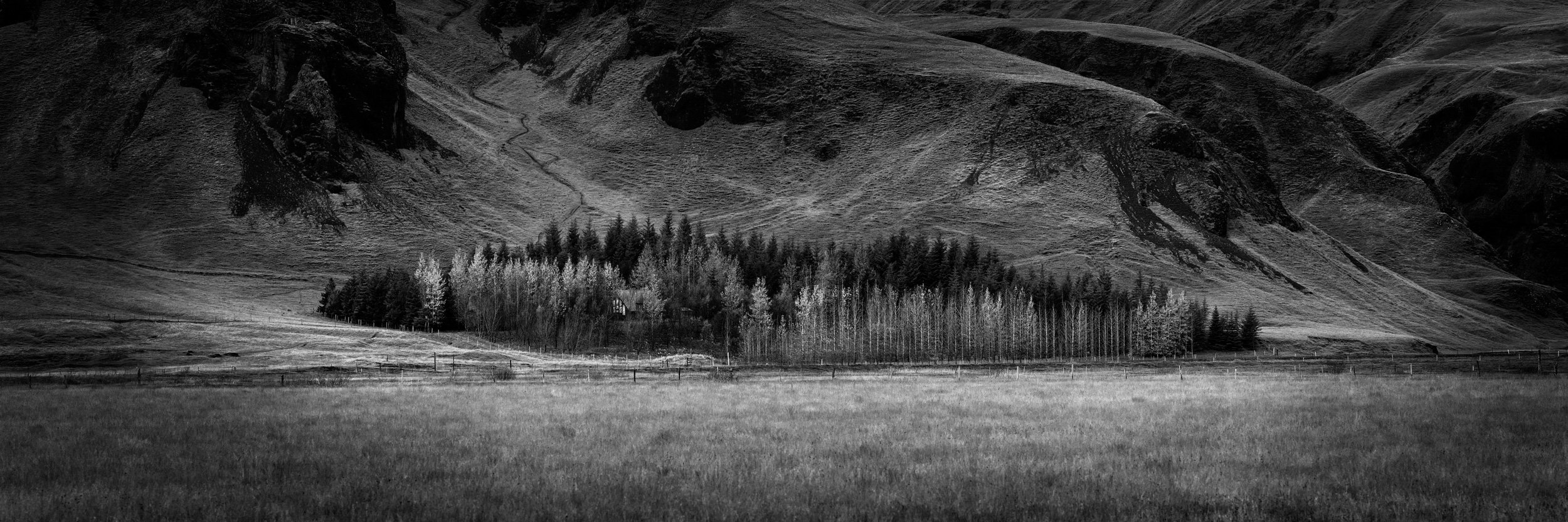 Black and white Iceland landscape with a small tree line beneath a dark mountain slope and open grassy plain.