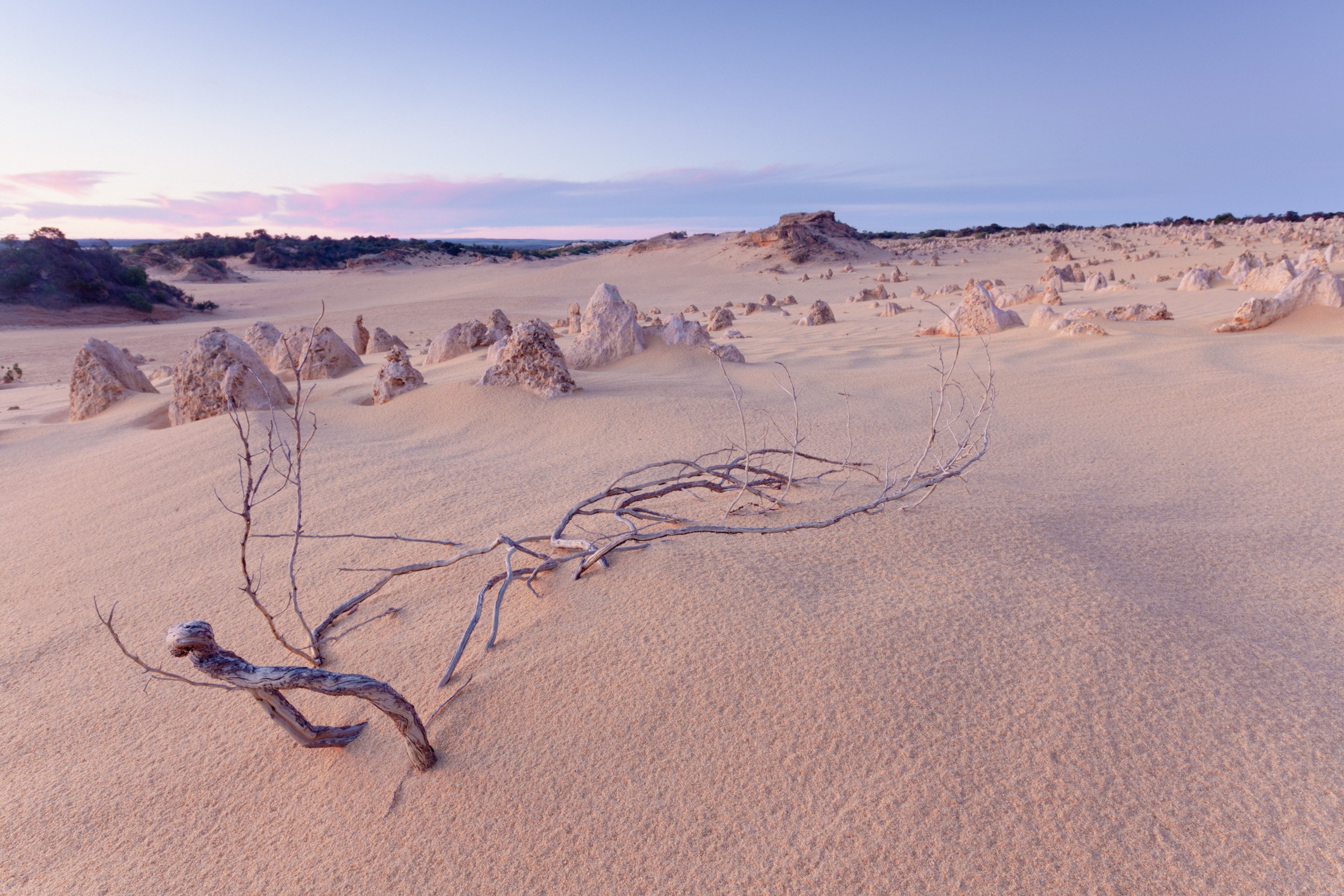 The Pinnacles.
Nambung National Park, Western Australia - 2011