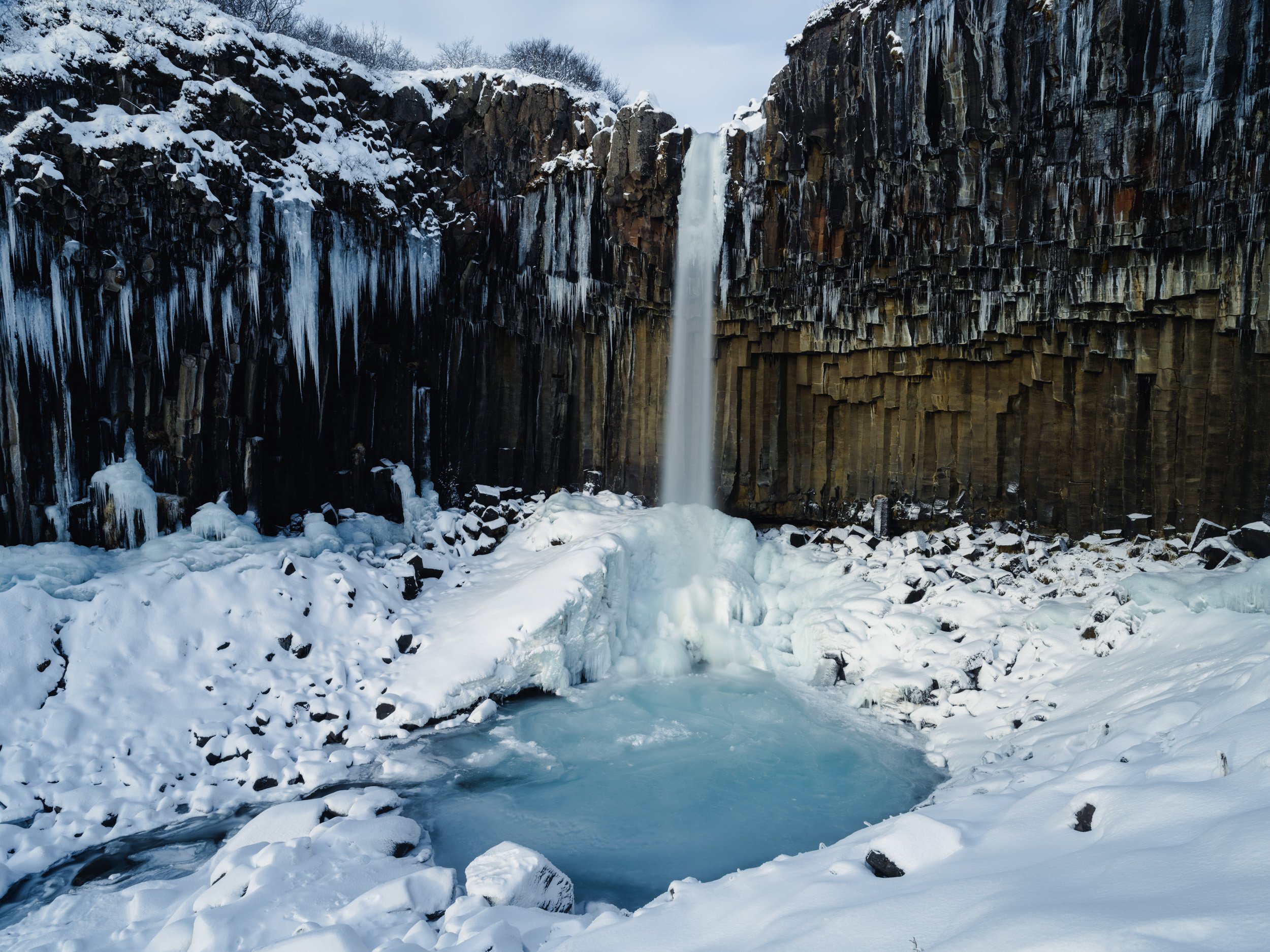 Svartifoss waterfall in Iceland during winter, plunging into a pale blue pool beneath dark basalt columns and snowy canyon walls.