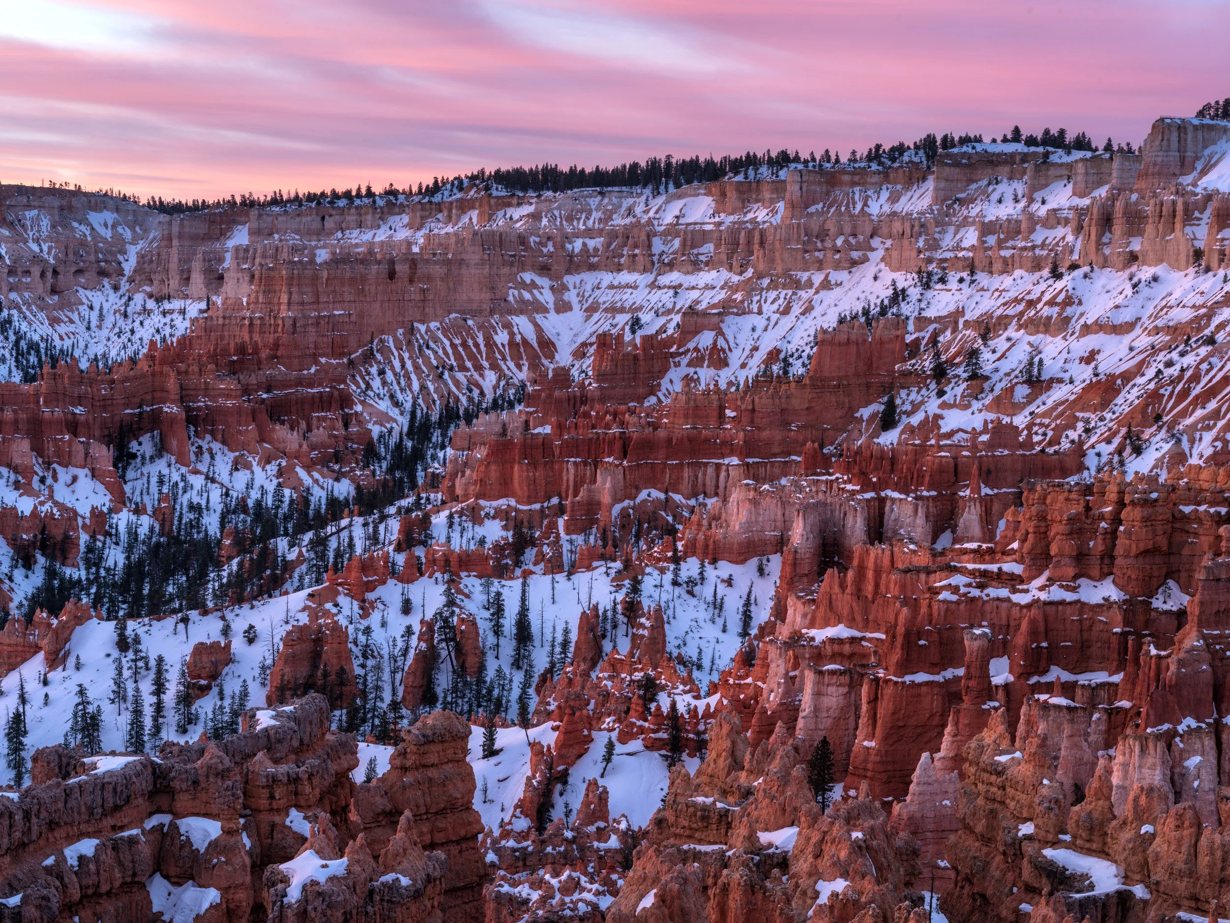 Snow-covered Bryce Canyon hoodoos at sunrise, with pink winter sky and layered red rock formations in Utah, USA.