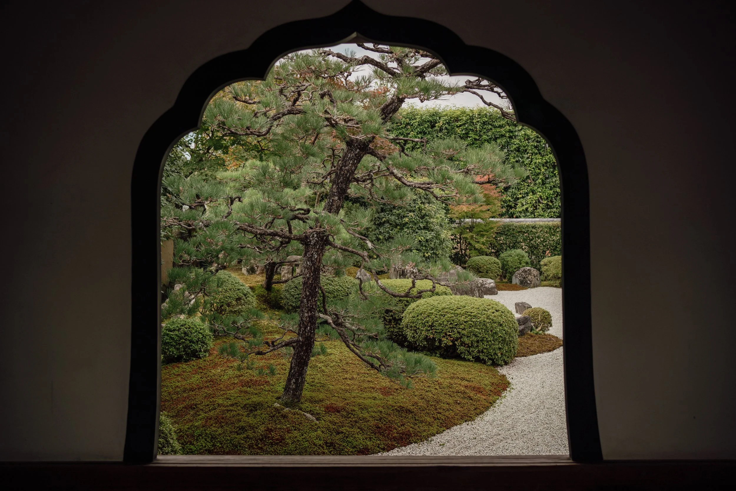 Japanese garden framed through a dark temple window, showing moss, trees, and manicured shrubs.