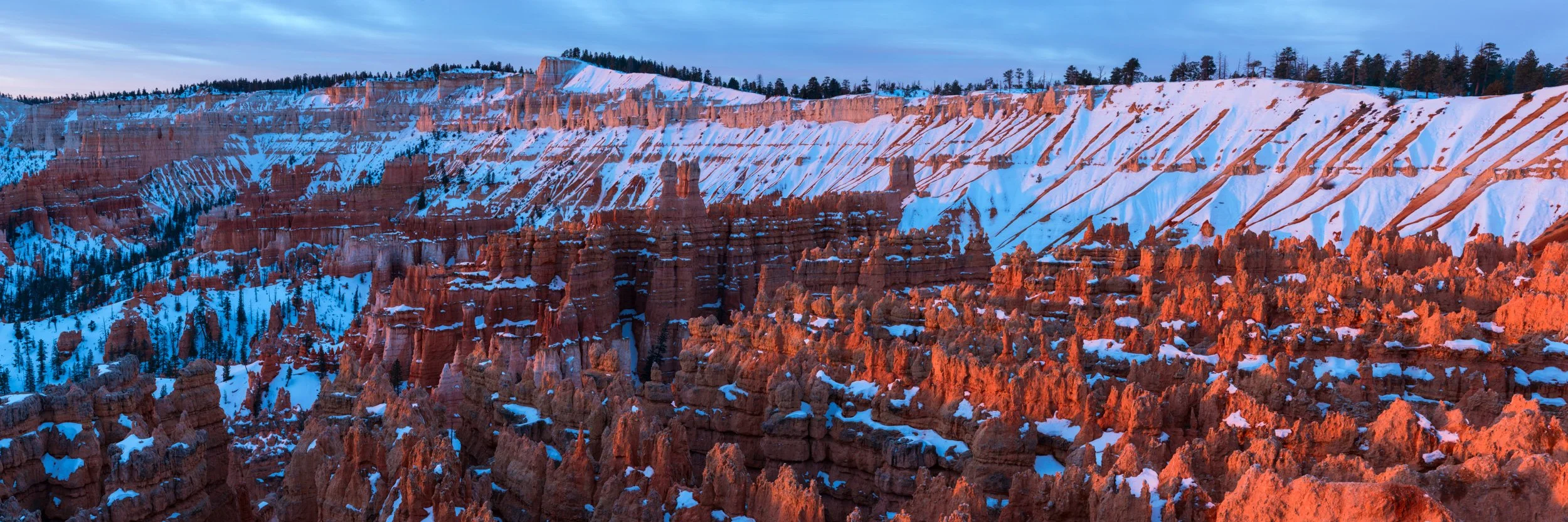 Snow-covered Bryce Canyon panorama at sunrise, with red hoodoos, winter forest, and soft pink evening light in Utah.