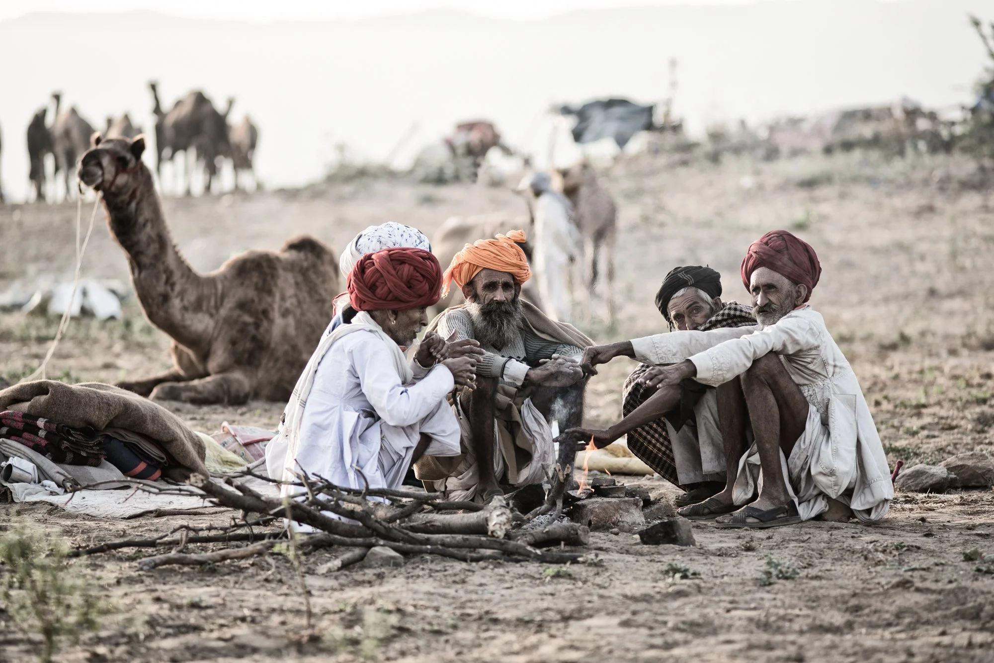 Camel herders in colorful turbans sit around a small fire in a desert camp, with camels resting in the background, Pushkar, India.