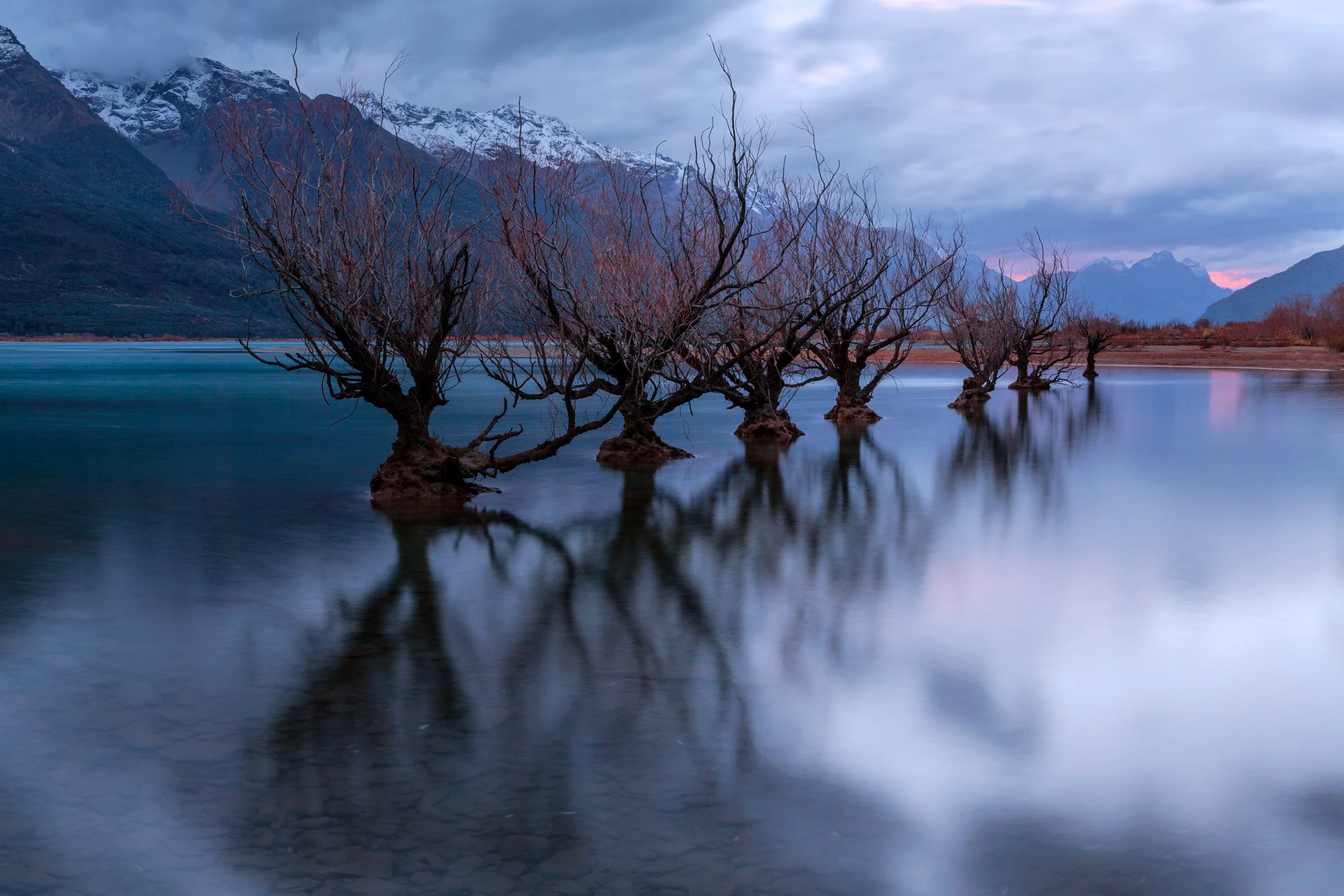 Flooded trees reflected in a calm New Zealand lake during autumn, with misty mountains and blue evening tones.