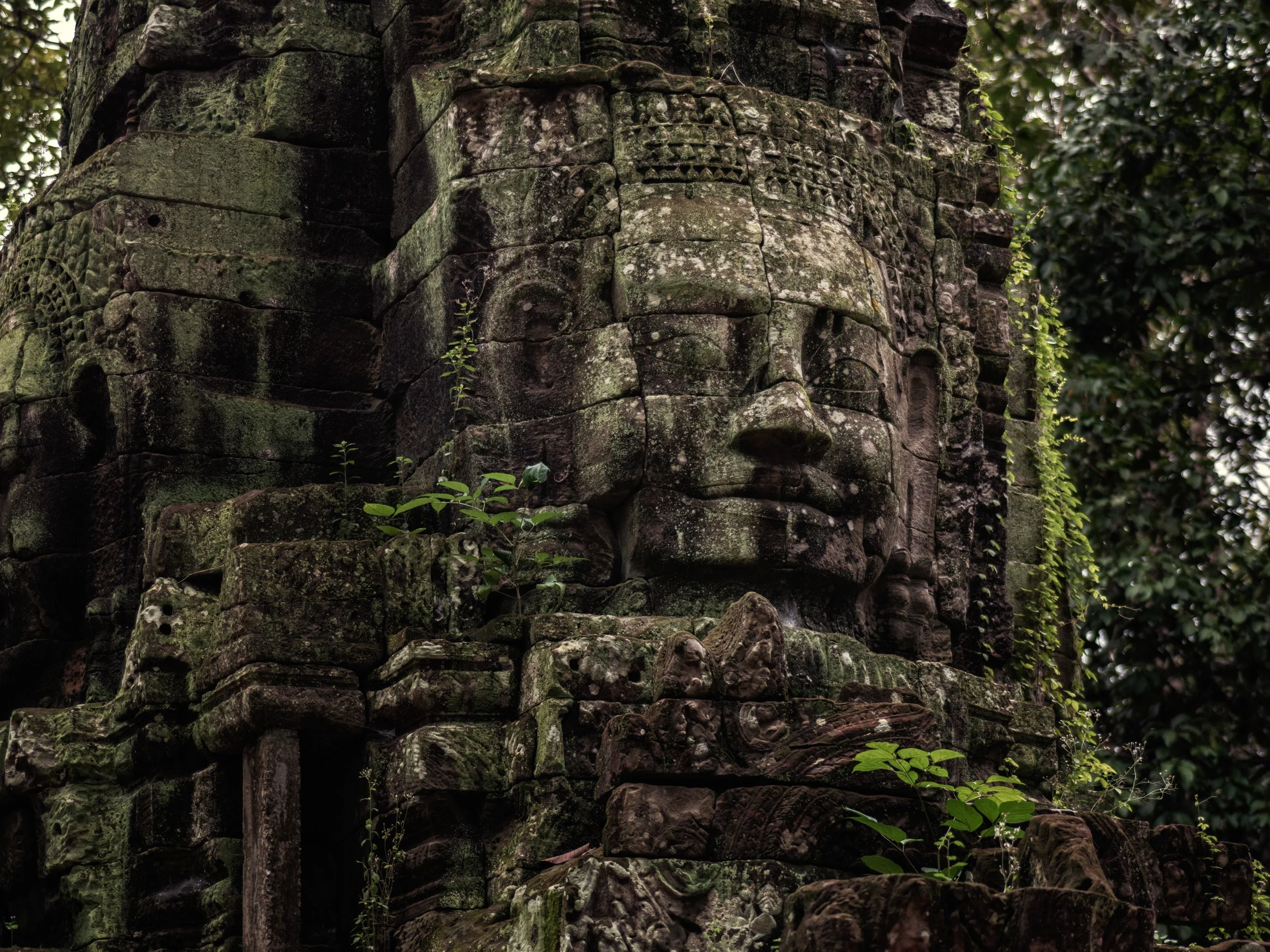 Weathered Bayon temple face covered in moss and jungle greenery at Angkor, Cambodia.