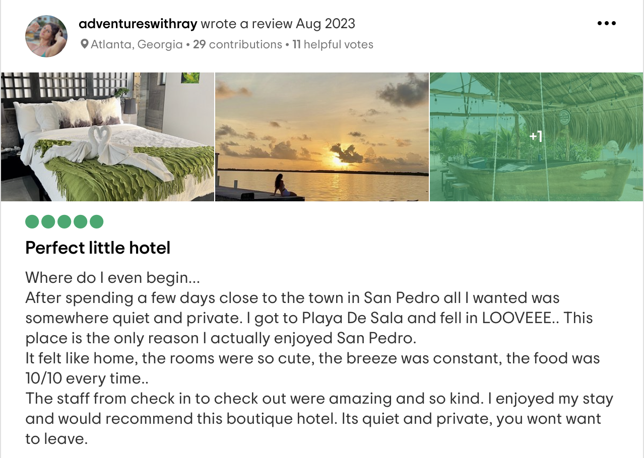 Trip advisor review.png