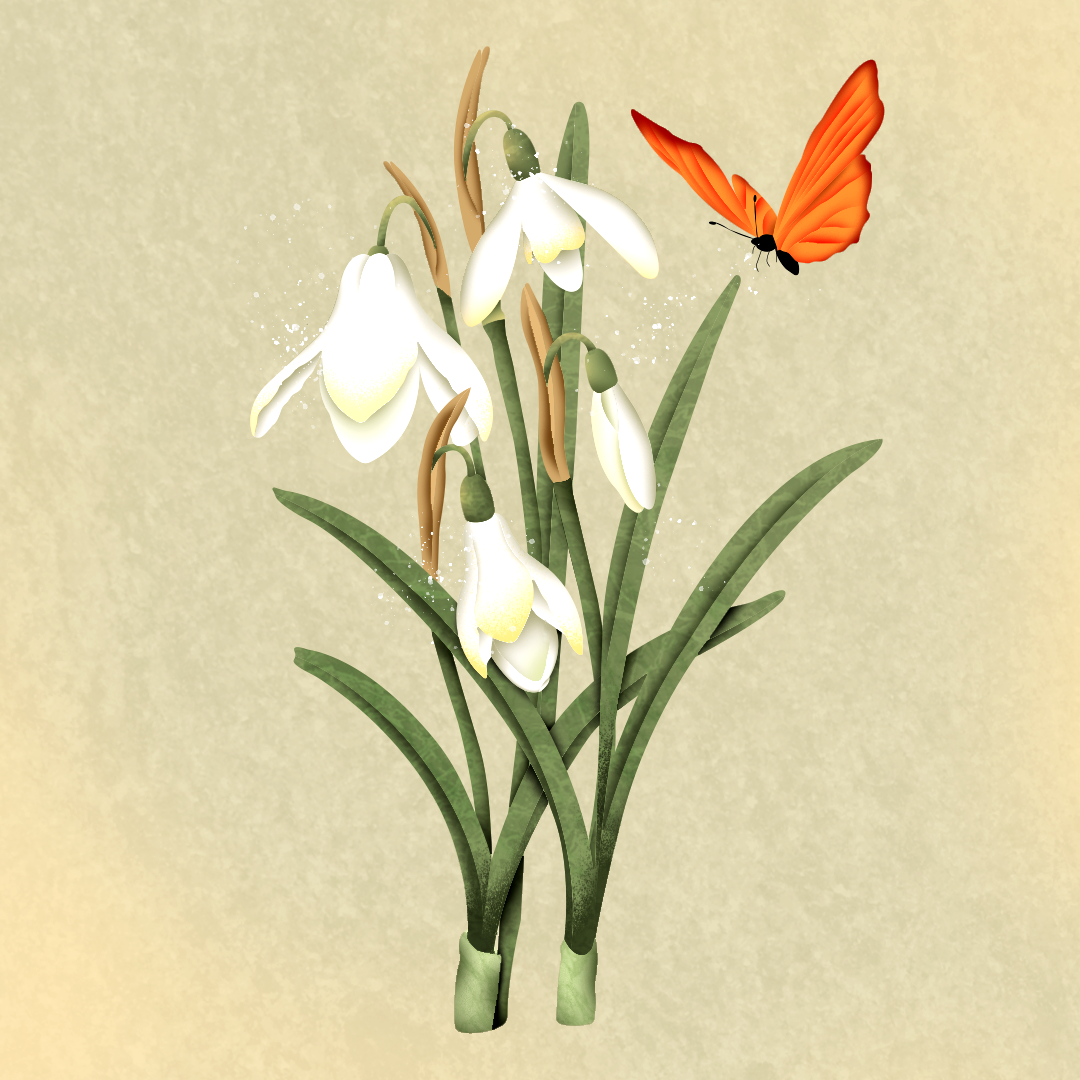 Lilly x Spring Time_Card_Illustration_Floworks.png