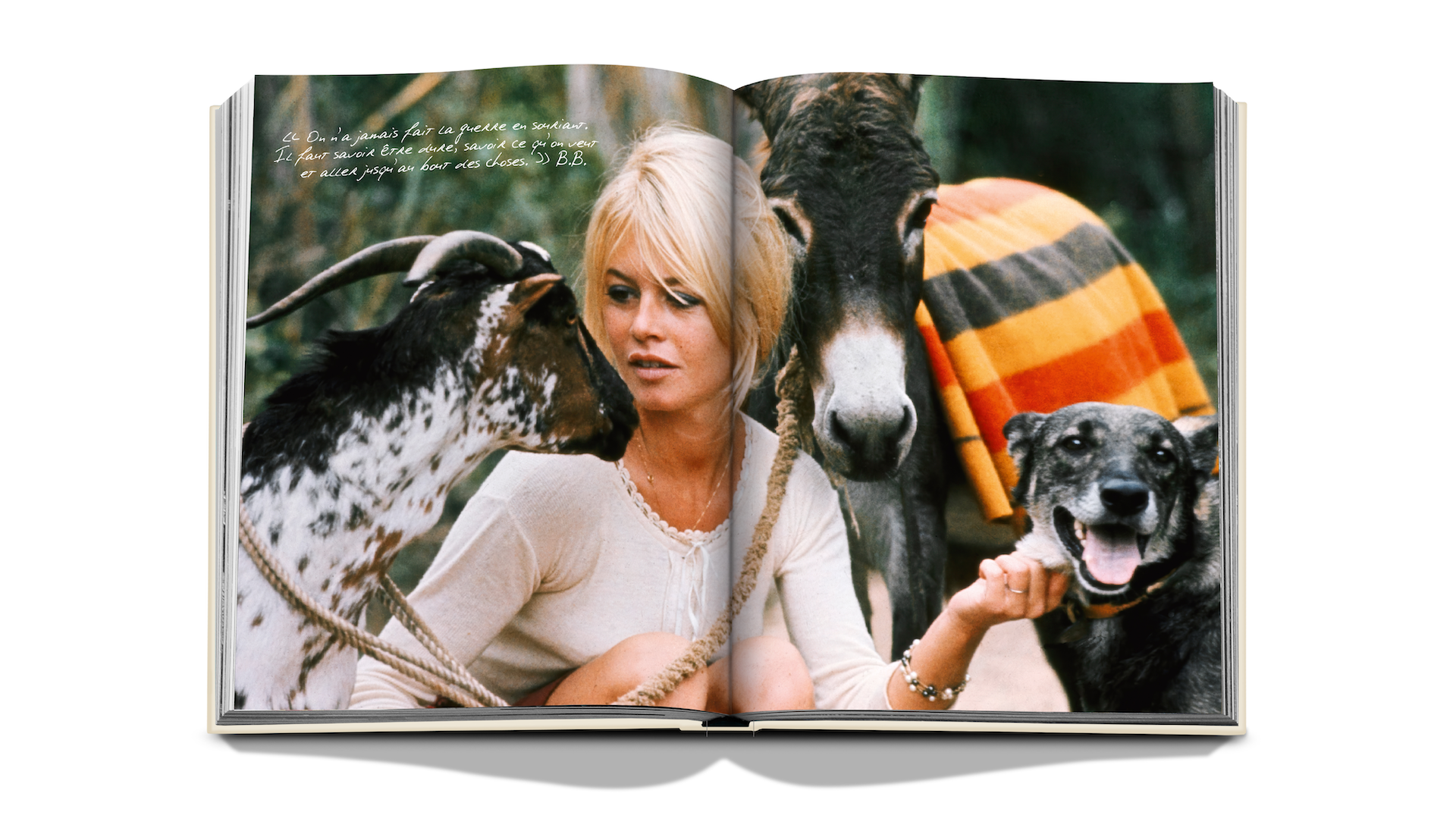 BRIGITTE BARDOT x Floworks_8.png